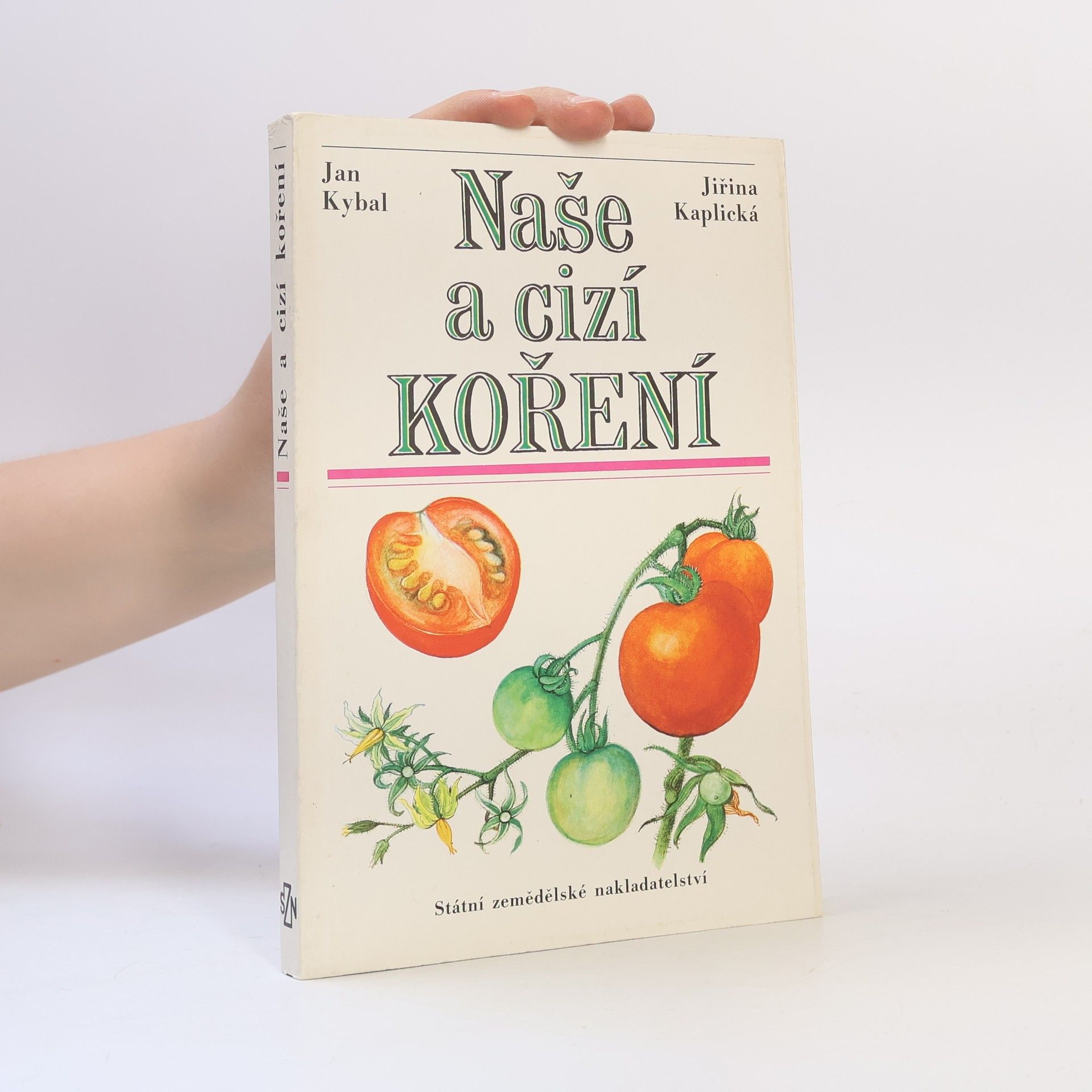 Naše a cizí koření