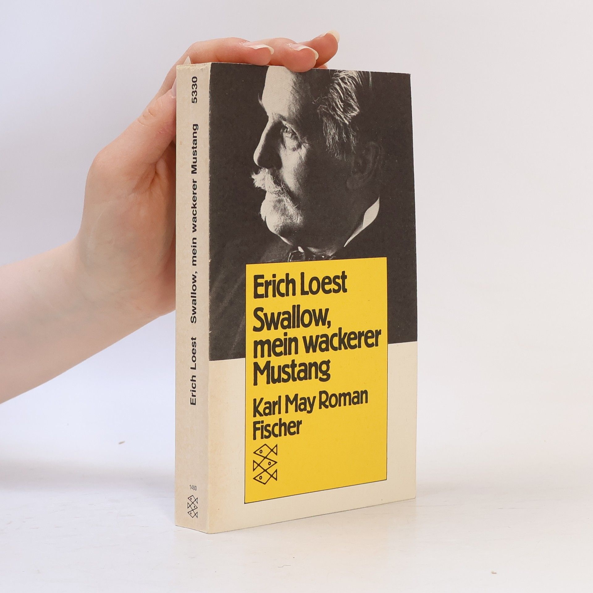Fischer Taschenbücher: Swallow, mein wackerer Mustang