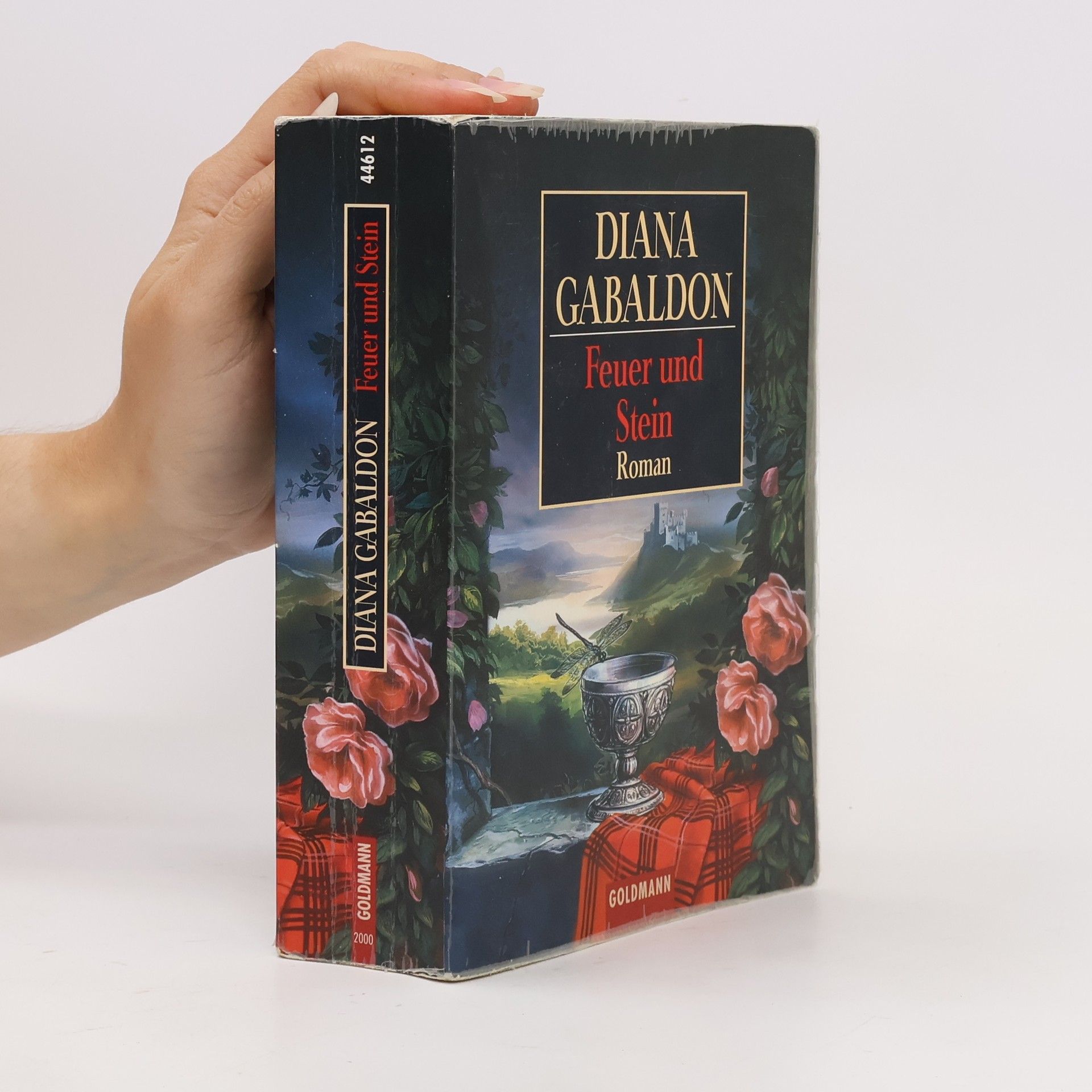 Diana Gabaldon Feuer und Stein
