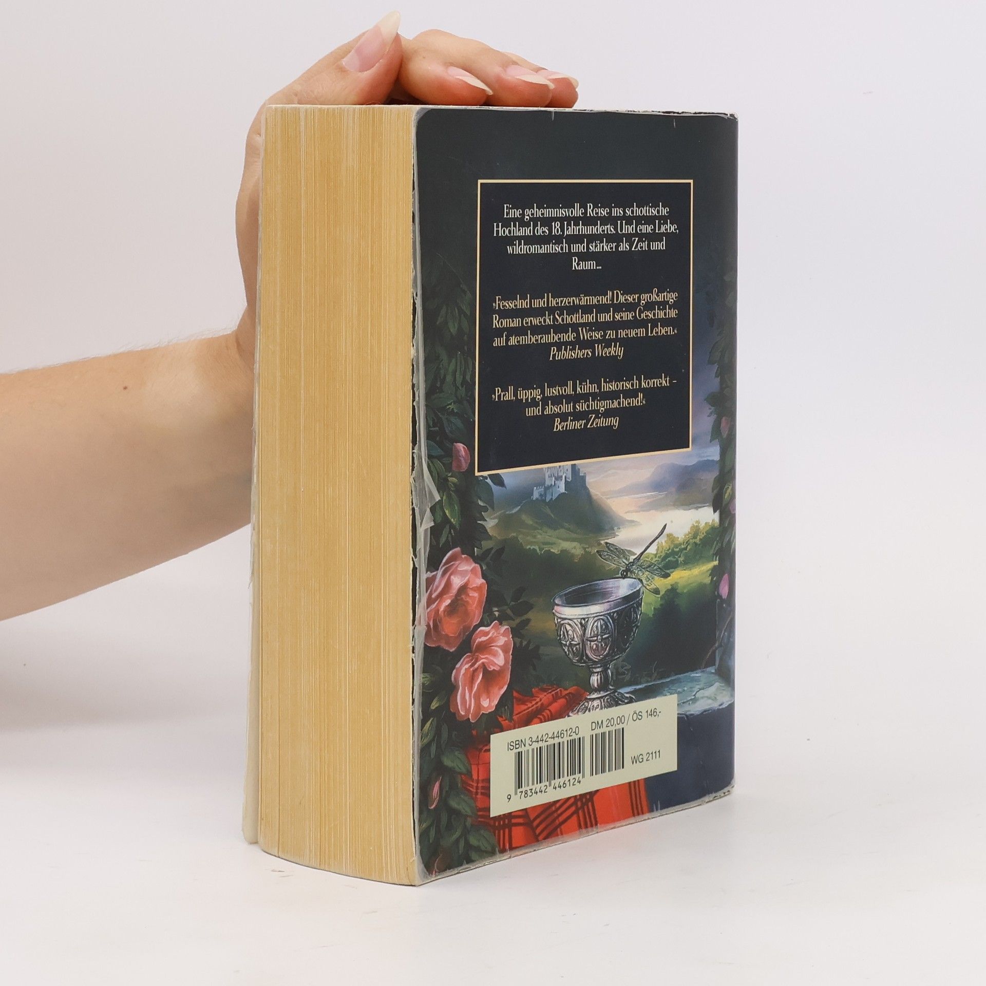 Diana Gabaldon Feuer und Stein