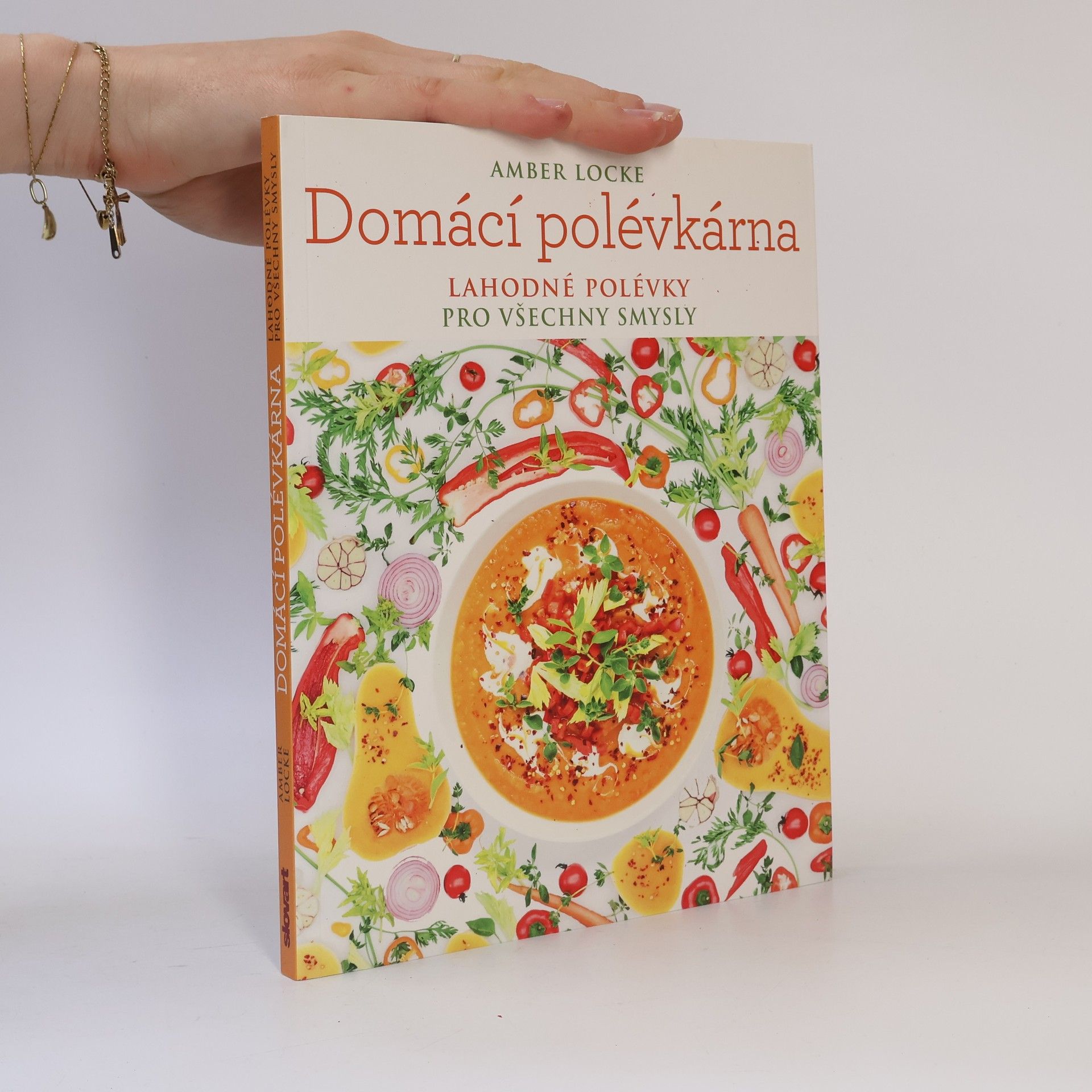 Amber Locke Domácí polévkárna - Lahodné polévky pro všechny smysly