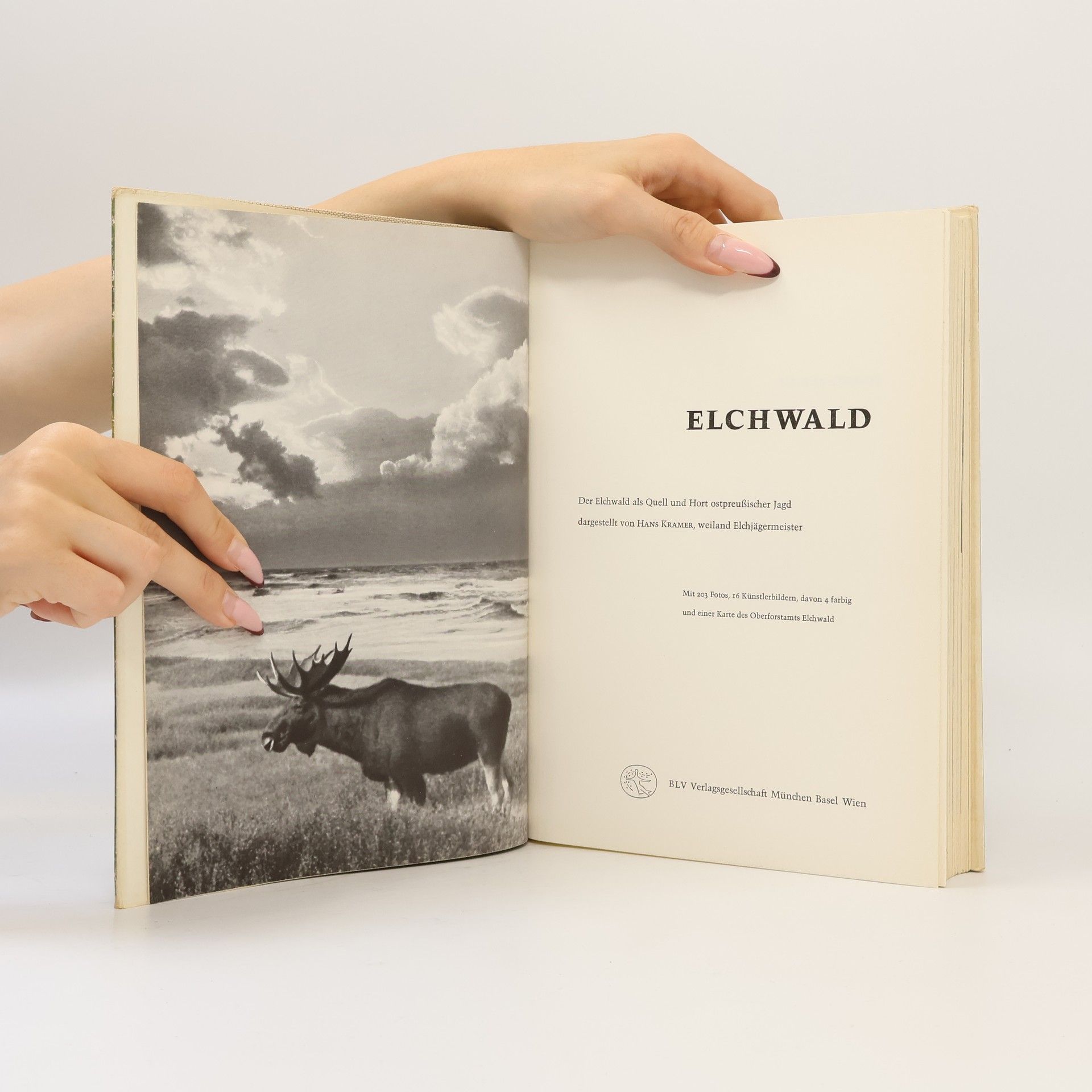 Hans Krämer Elchwald