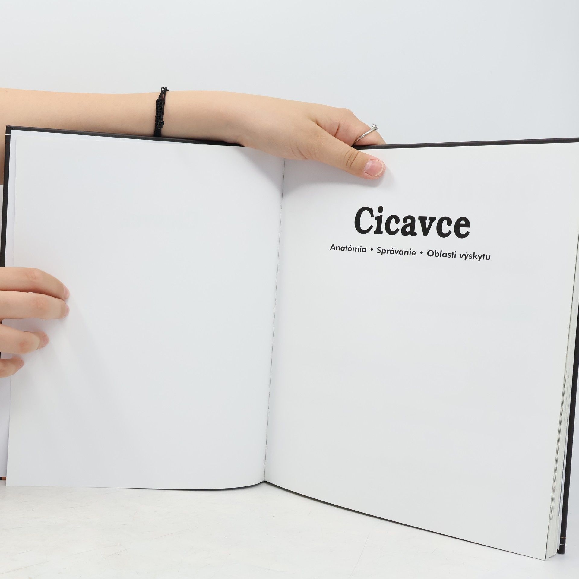 Various authors Cicavce