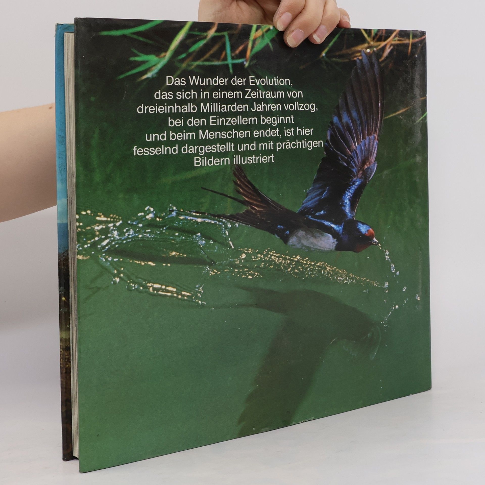 David Attenborough Wunder der Schöpfung
