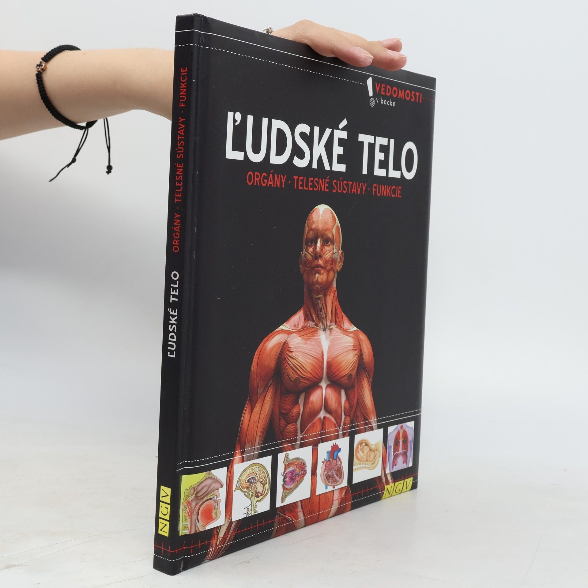 Autorenkollektiv Ľudské telo