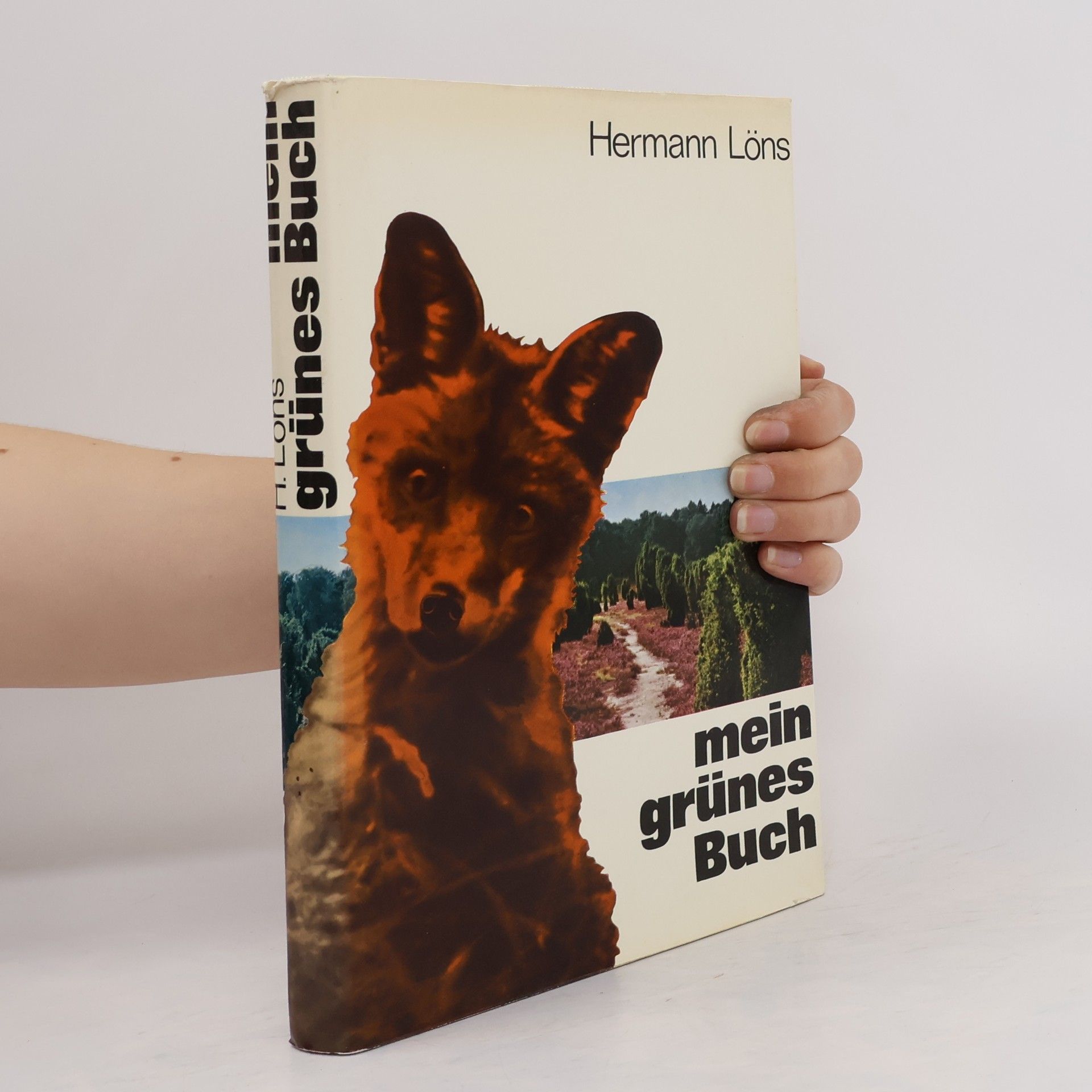 Hermann Löns Mein grünes Buch