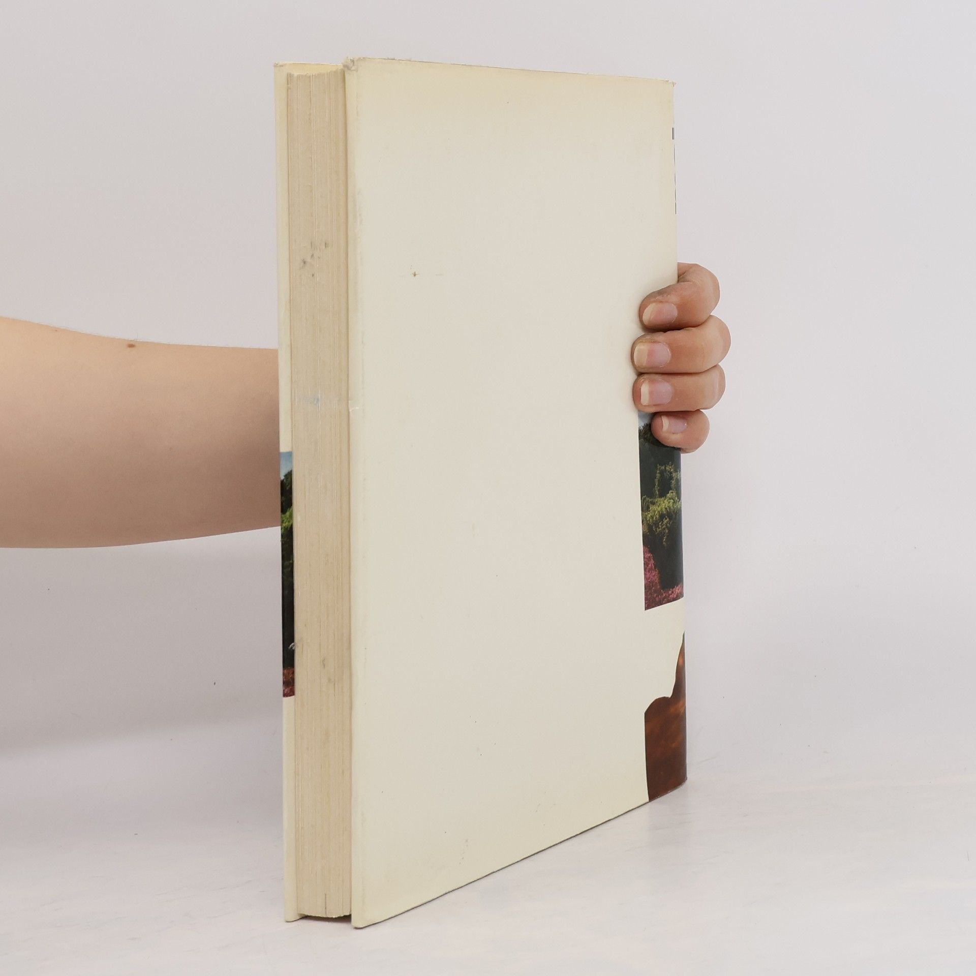 Hermann Löns Mein grünes Buch