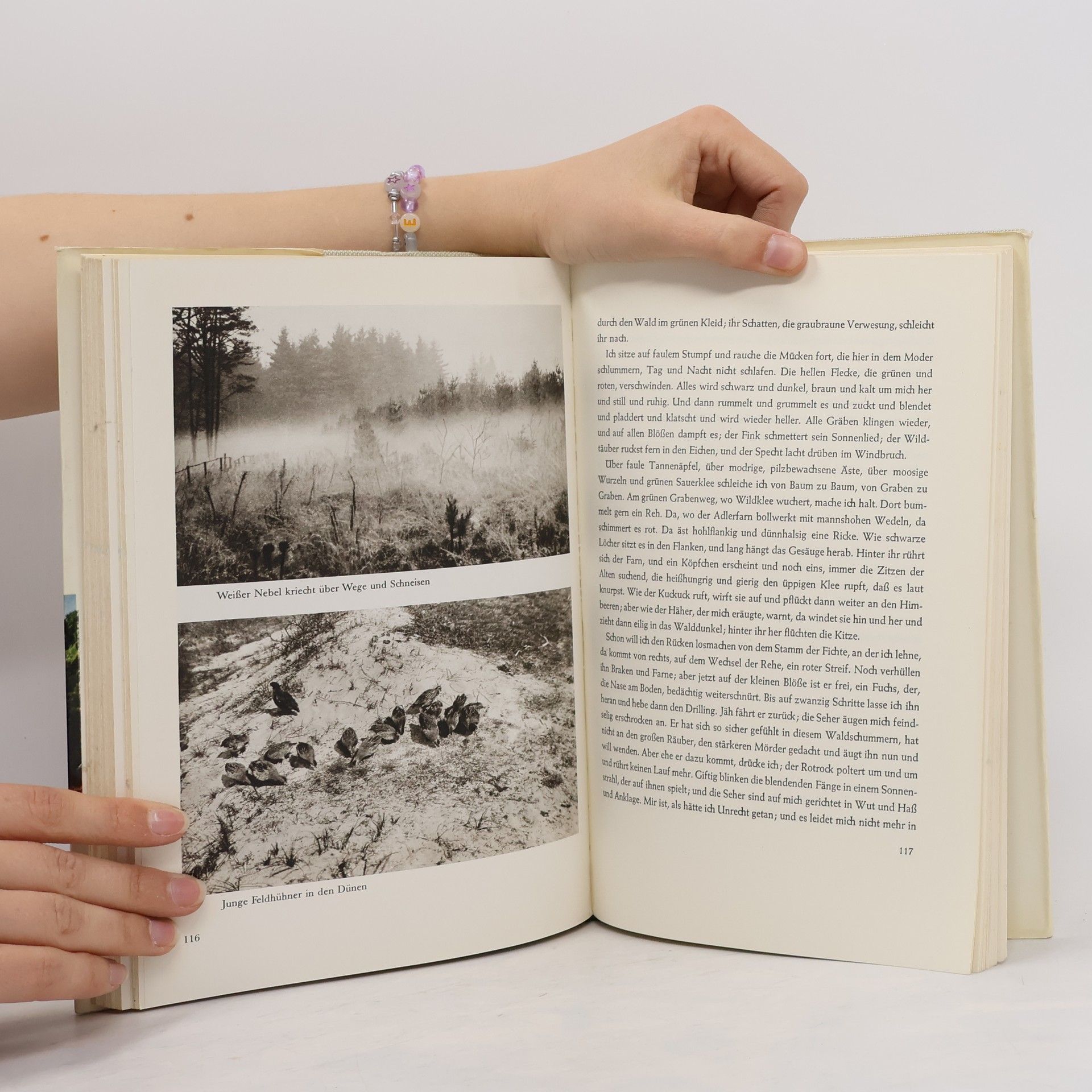 Hermann Löns Mein grünes Buch