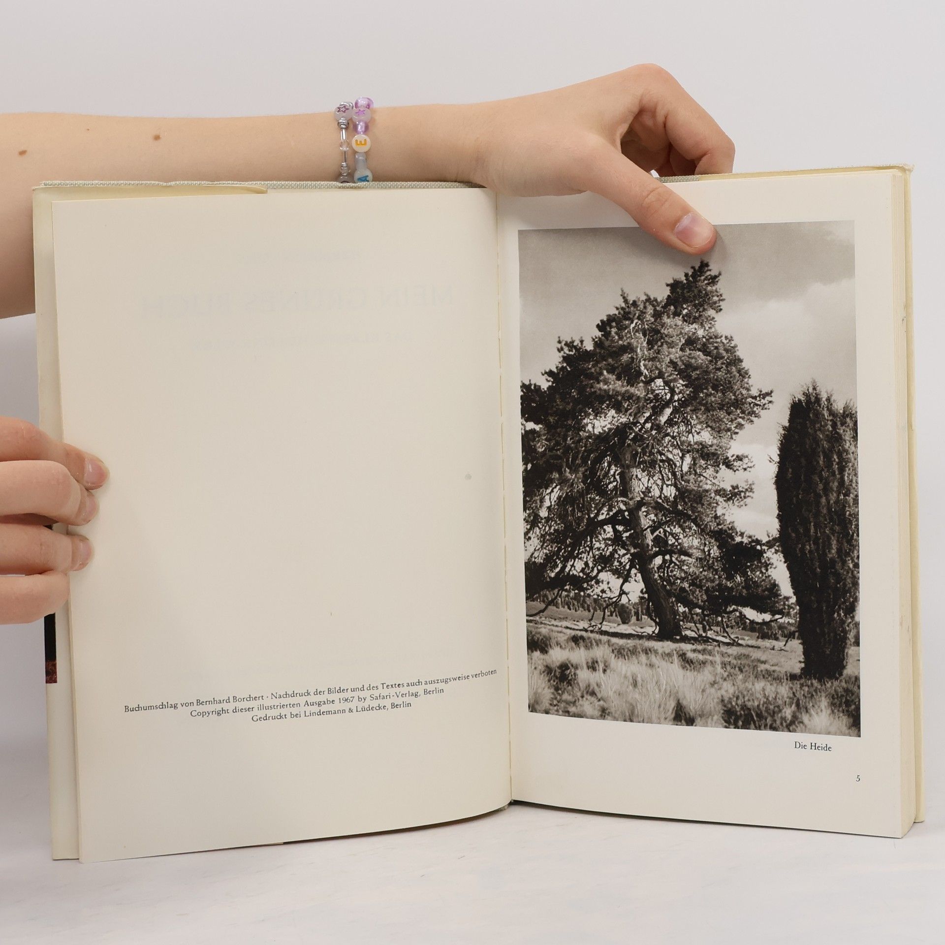 Hermann Löns Mein grünes Buch