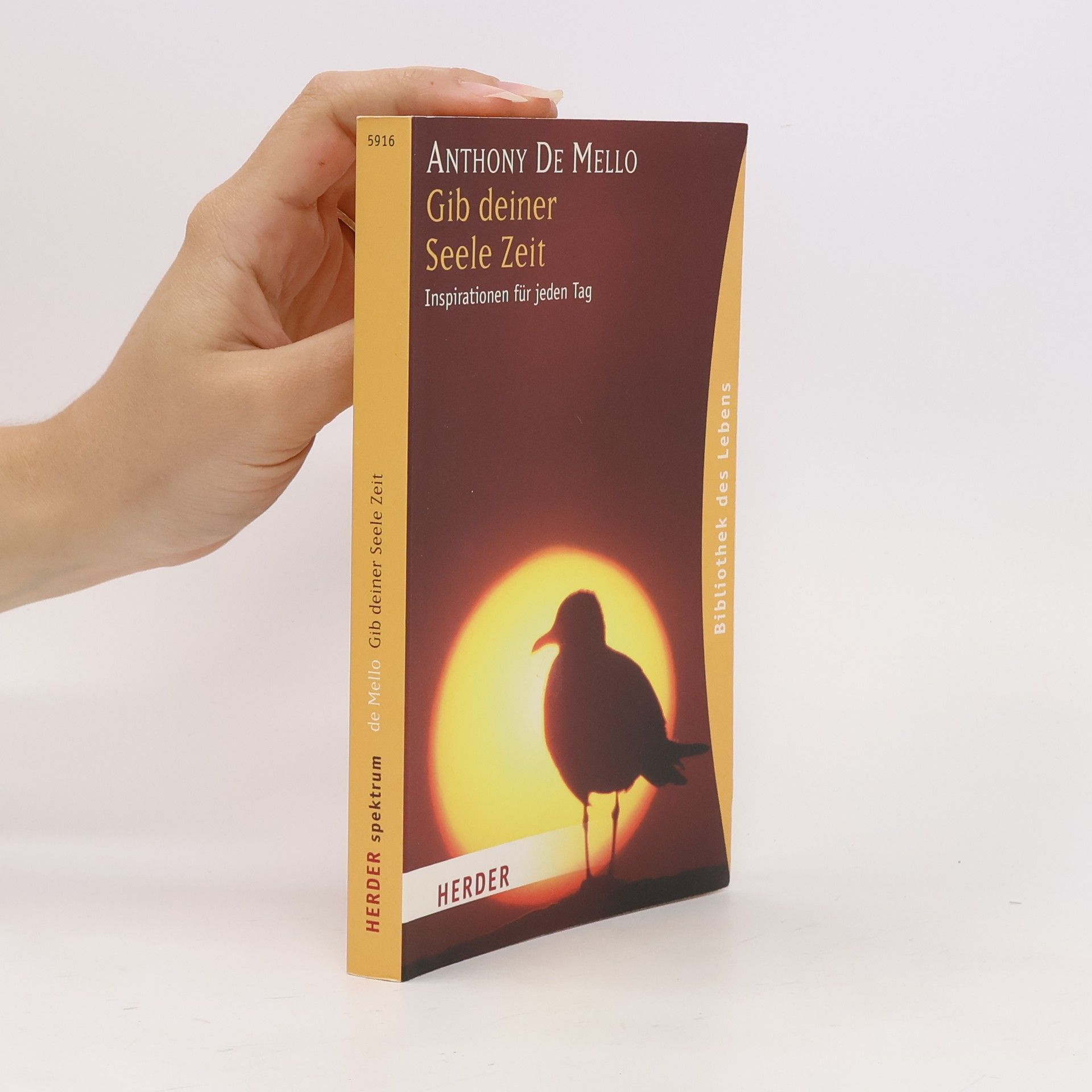 Anthony de Mello Gib deiner Seele Zeit