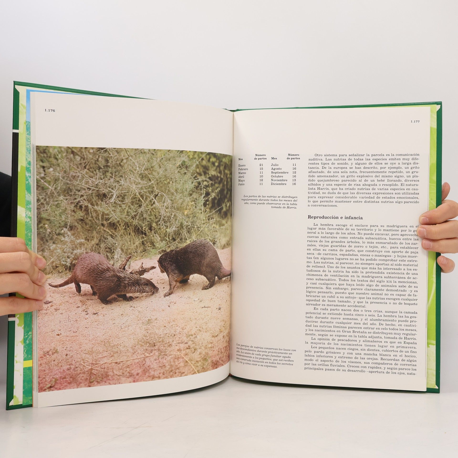 Félix Rodríguez de la Fuente Fauna Ibérica 15