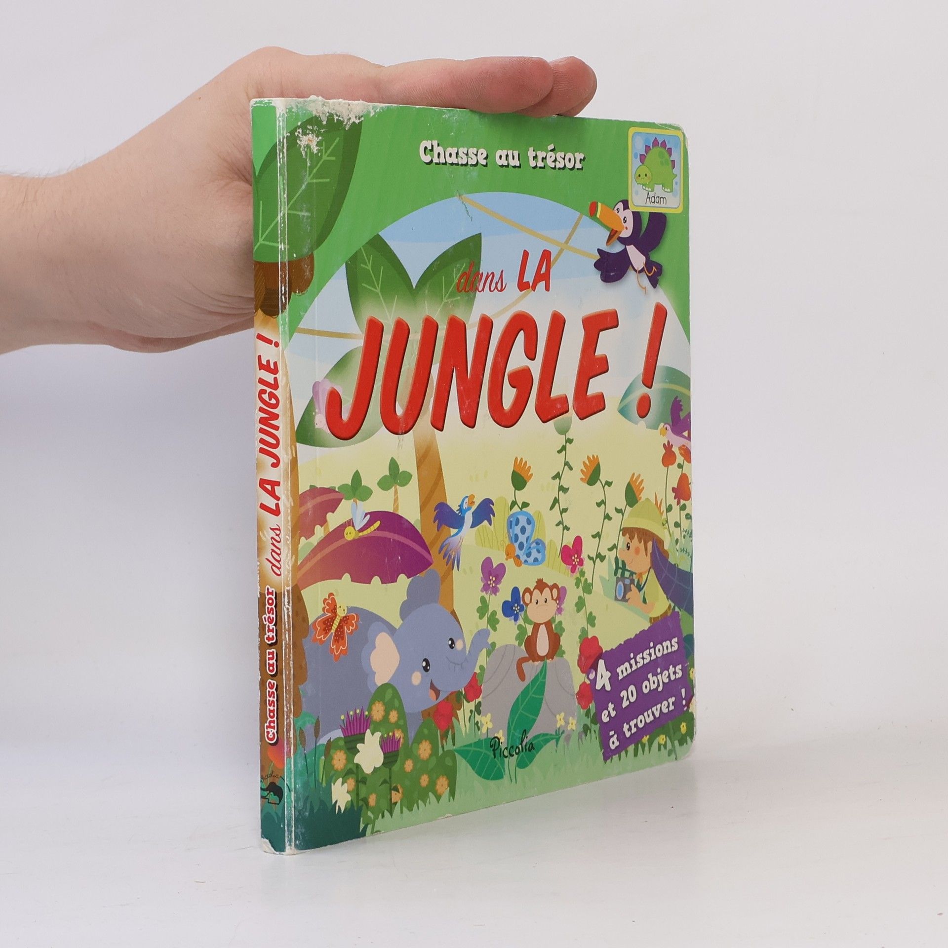 Angela Sbandelli Chasse au trésor dans la jungle !