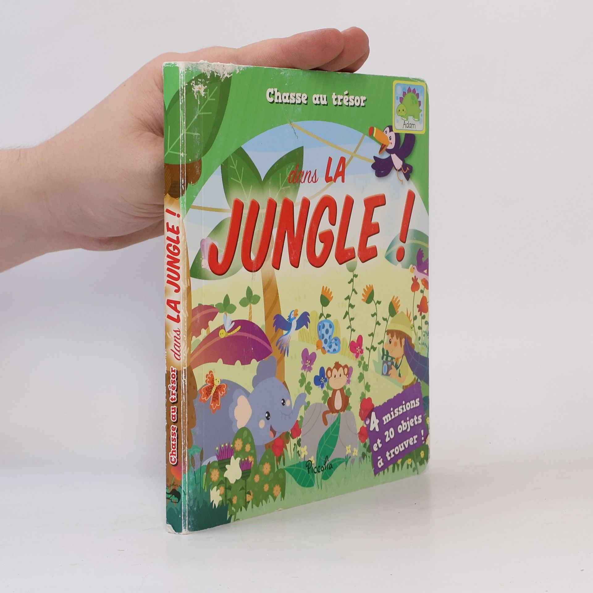 Angela Sbandelli Chasse au trésor dans la jungle !