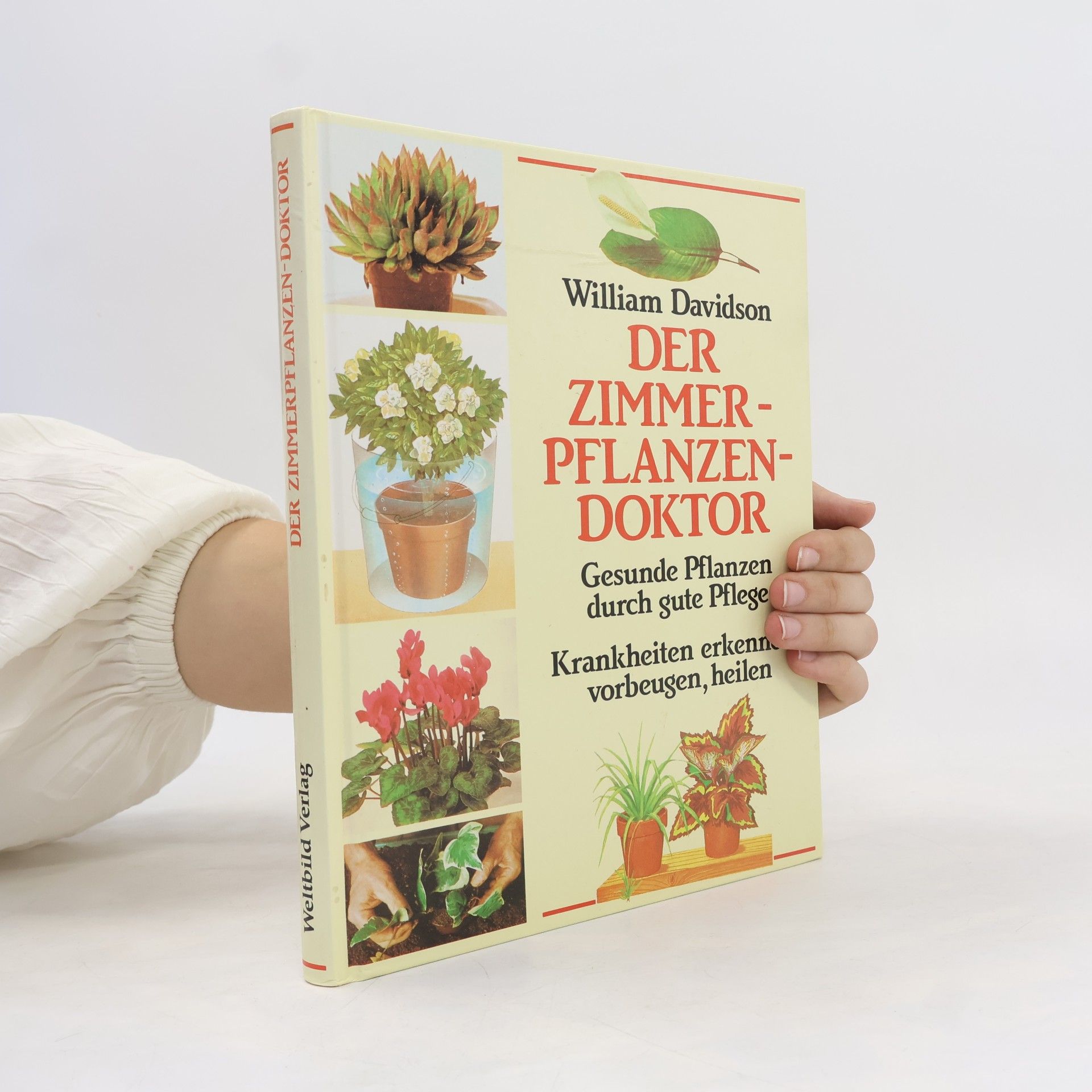 William Davidson Der Zimmerpflanzendoktor