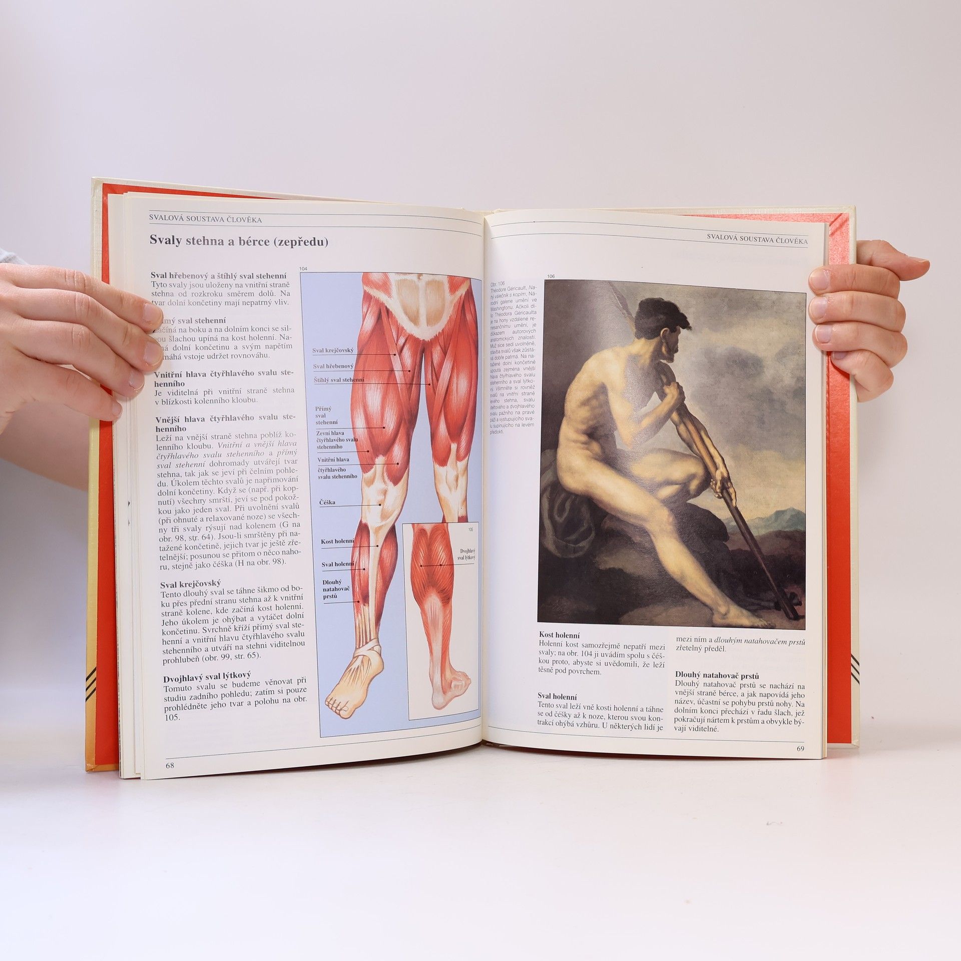 José María Parramón Anatomie člověka