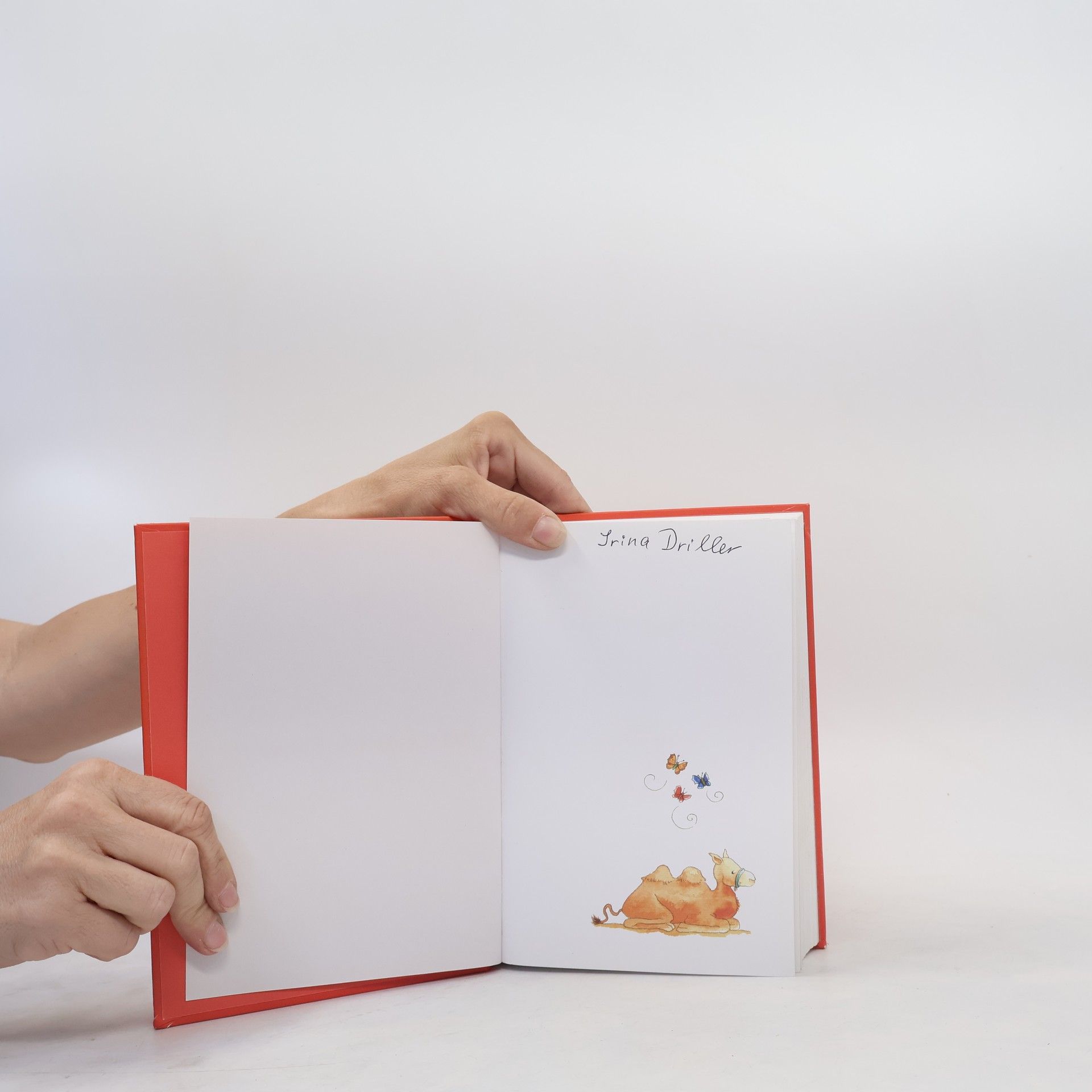 Alles, was Kindern Spass macht