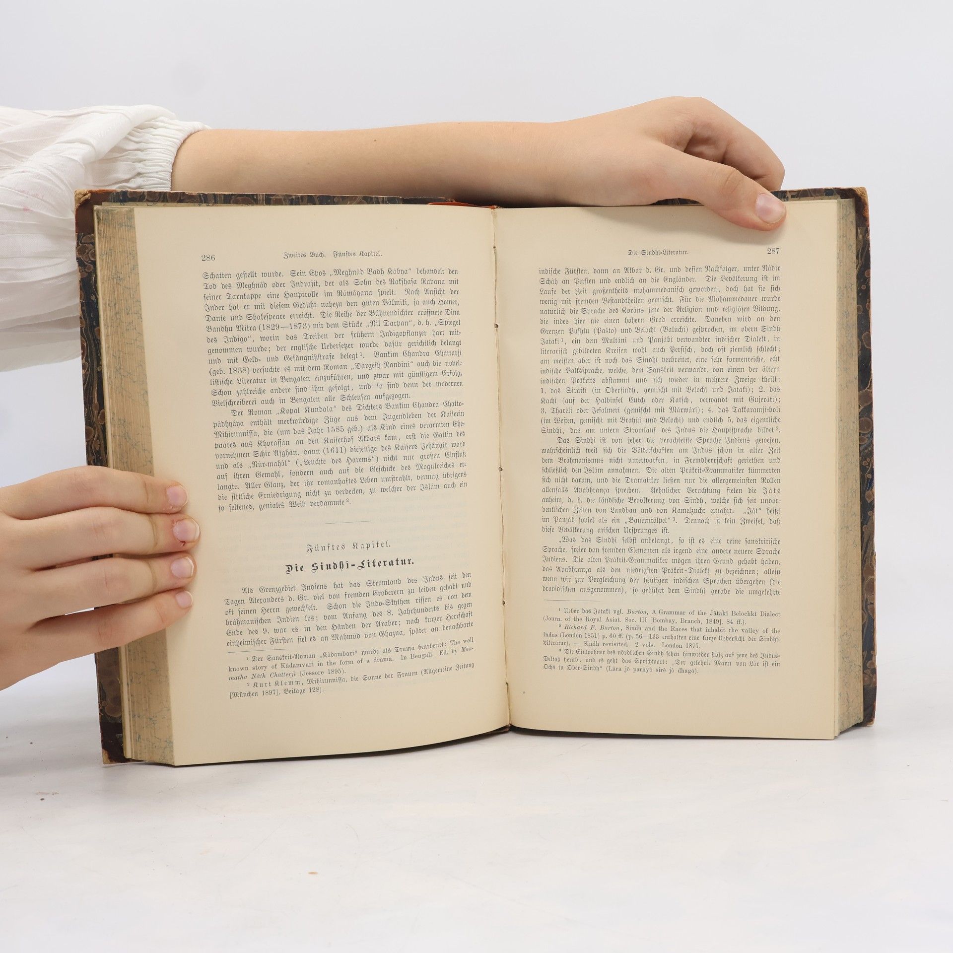 Alexander Baumgartner Die Literaturen Indiens und Ostasiens