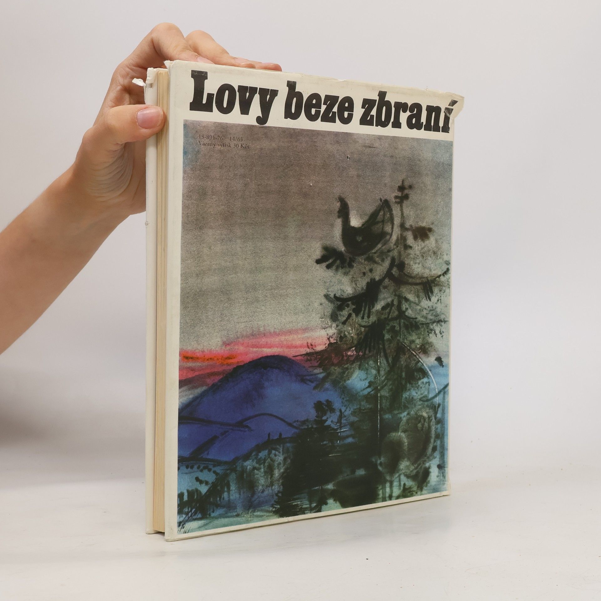 Jaromír Tomeček Lovy beze zbraní