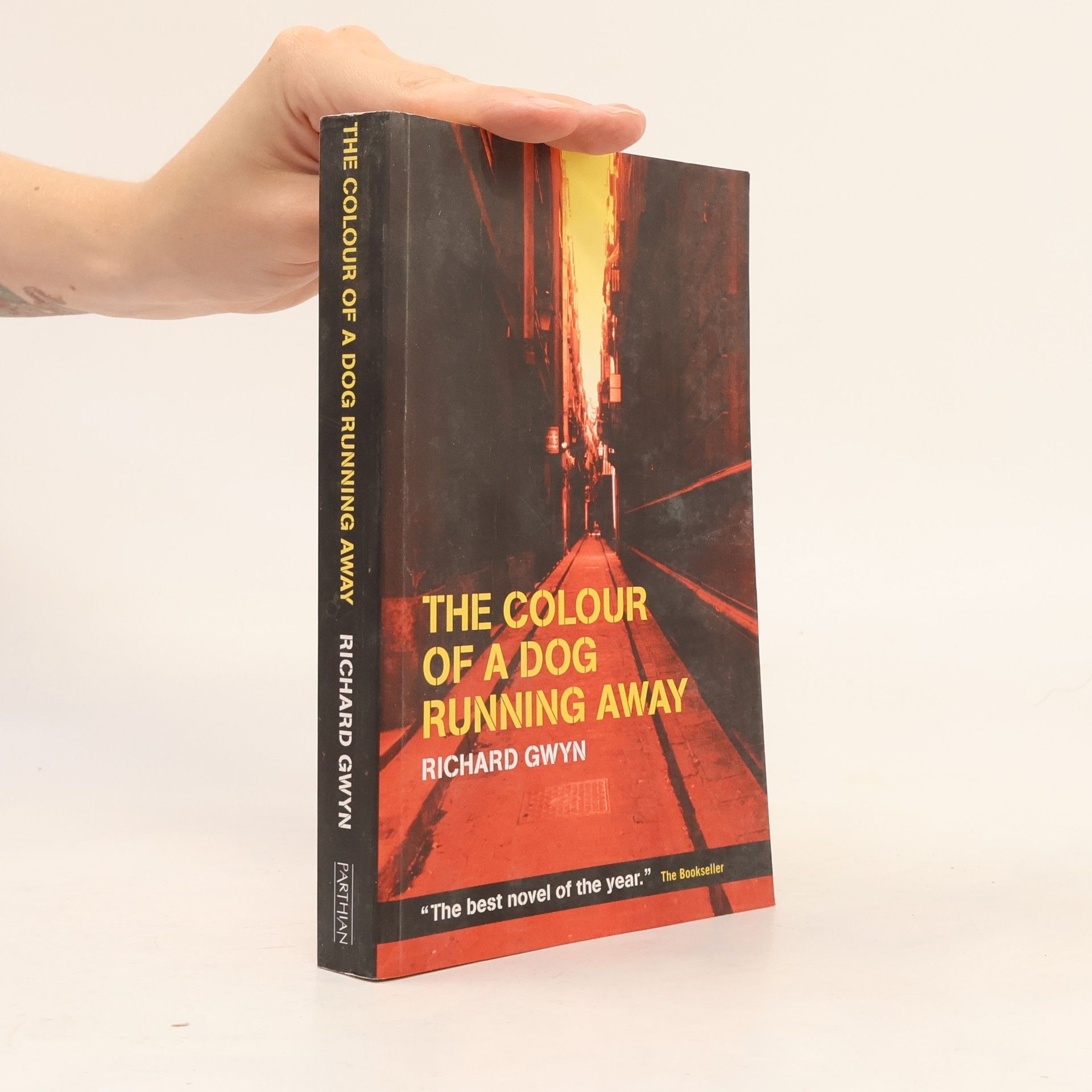 Richard Gwyn The colour of a dog running away