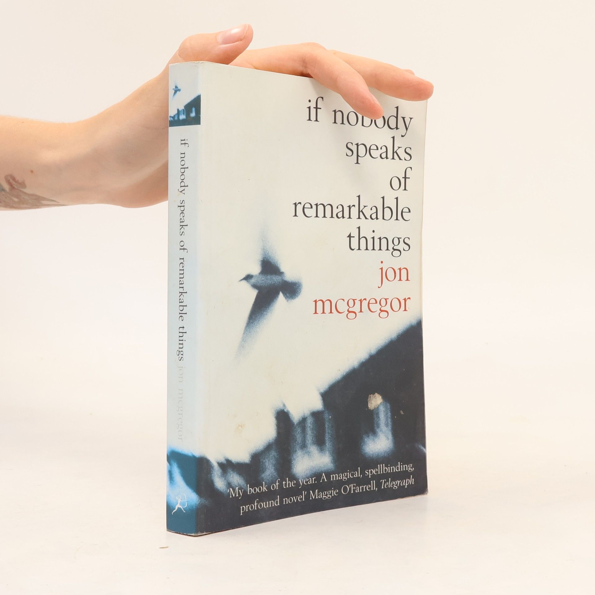Jon McGregor If nobody speaks of remarkable things