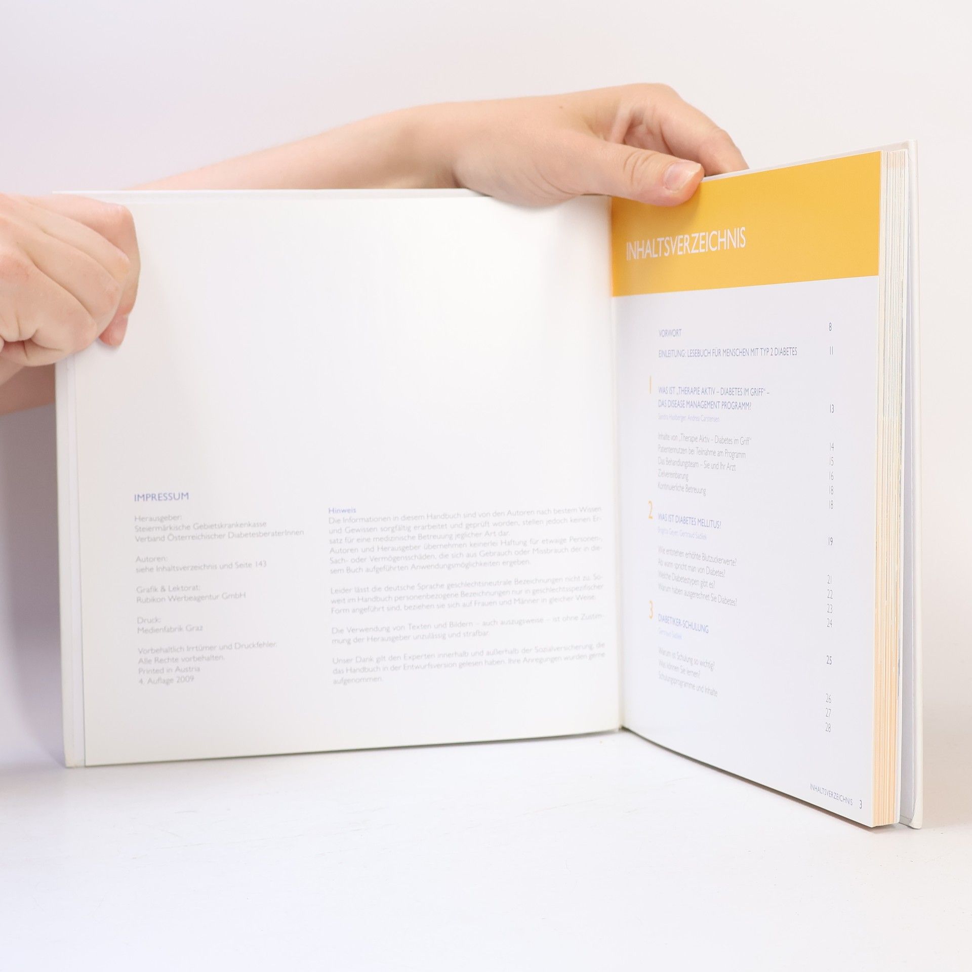 Autorenkollektiv Patienten Handbuch. Diabetes Mellitus Typ 2