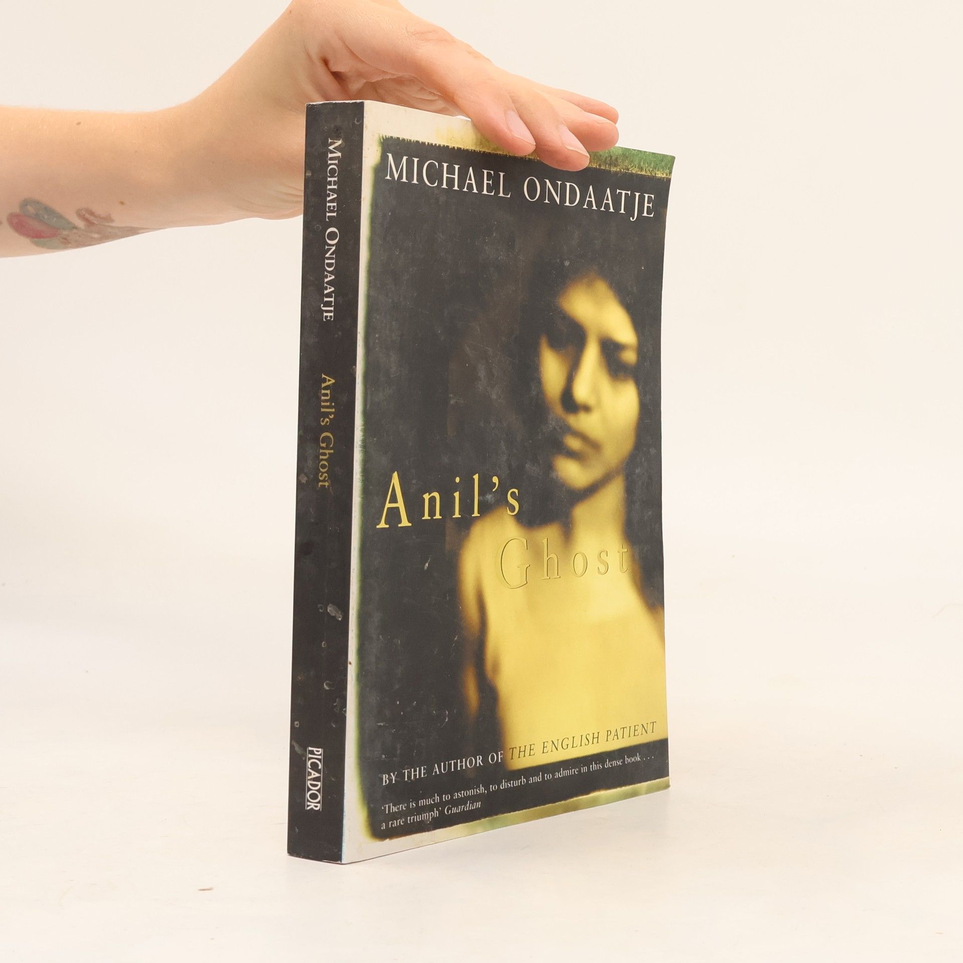 Michael Ondaatje Anil's Ghost