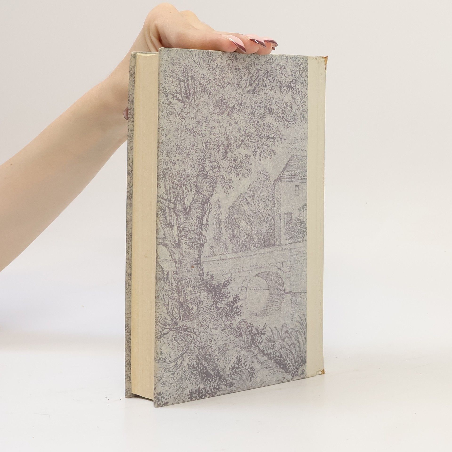 Daphne du Maurier Der Sündenbock