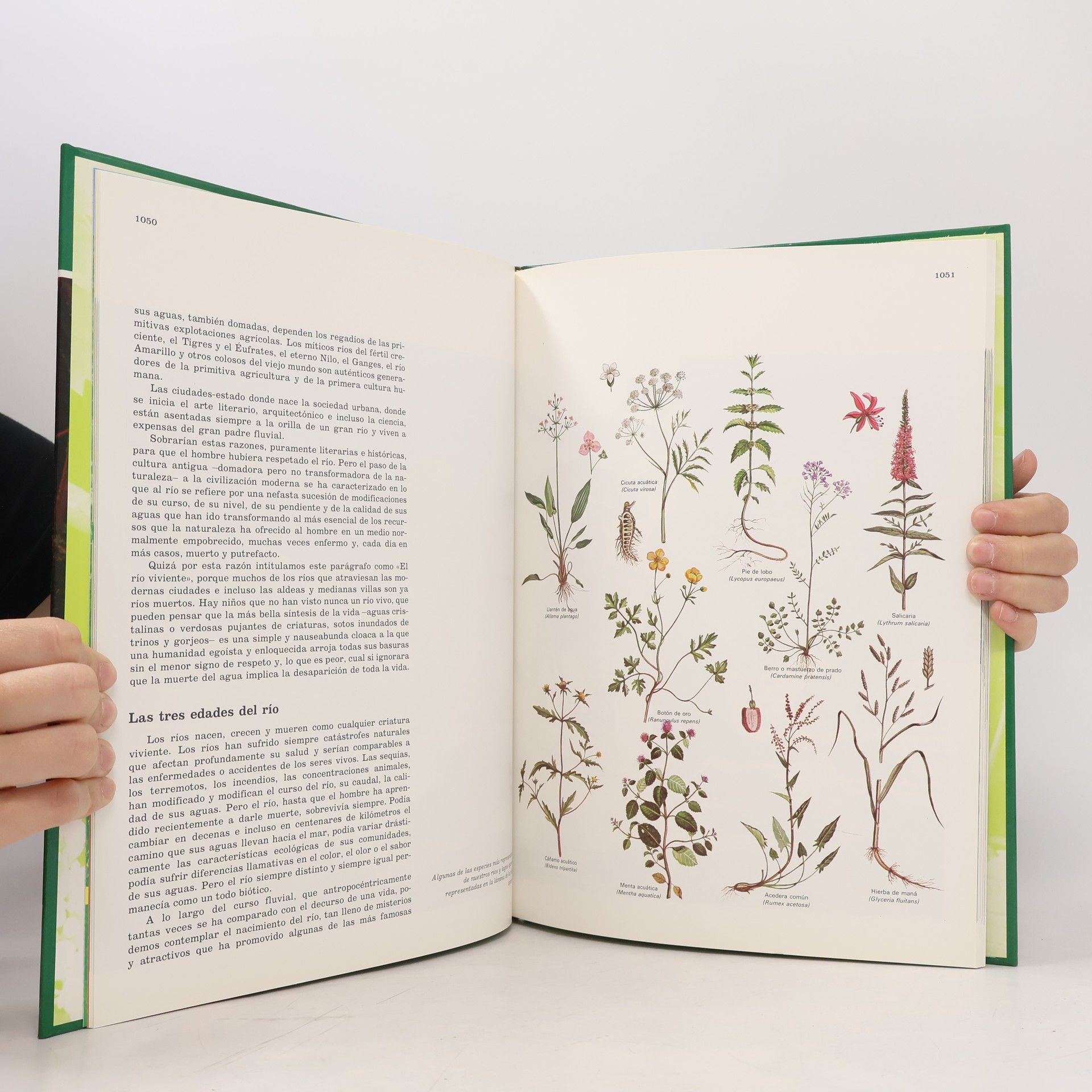 Félix Rodríguez de la Fuente Fauna Ibérica 4