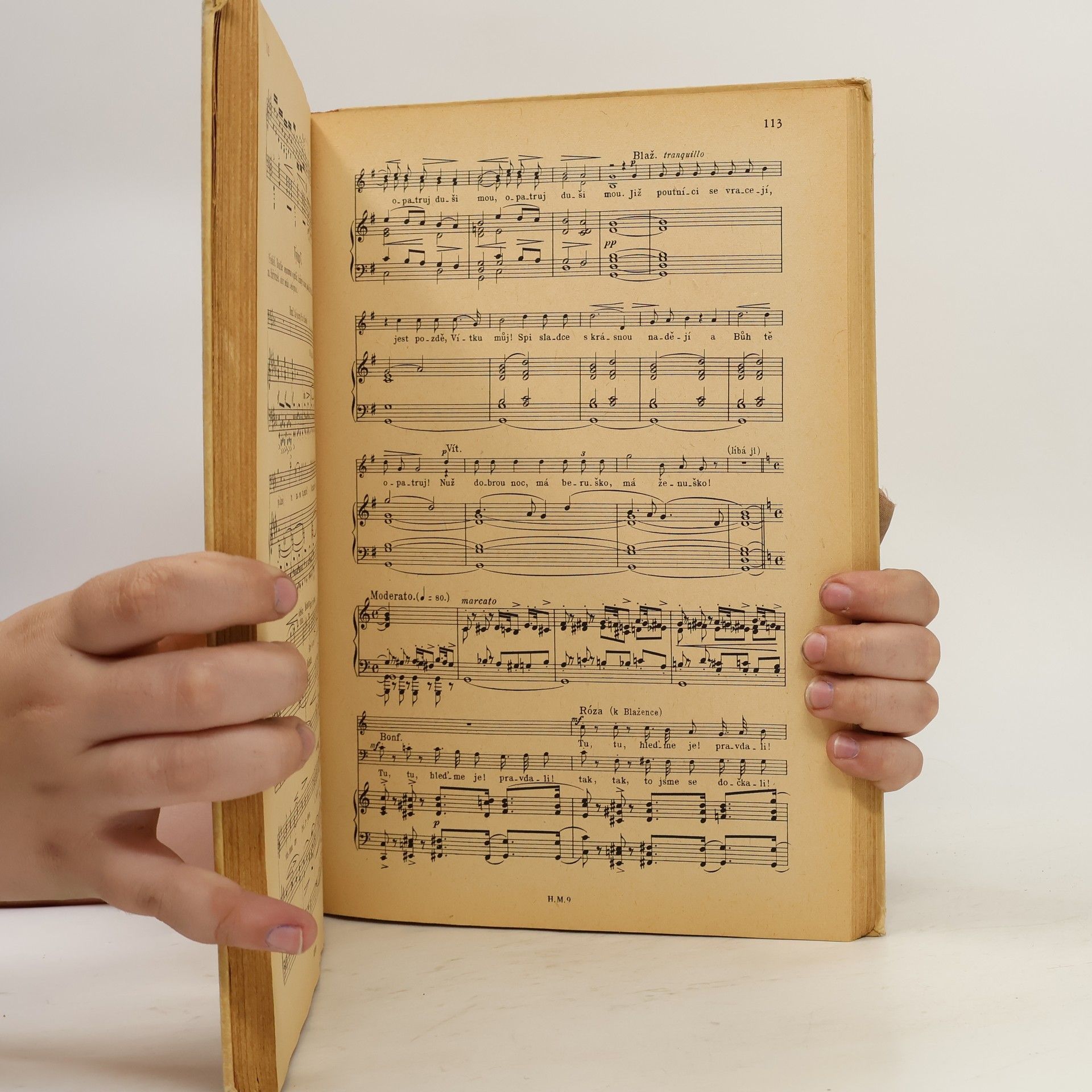 Karel Stecker Bedřich Smetana : Tajemství