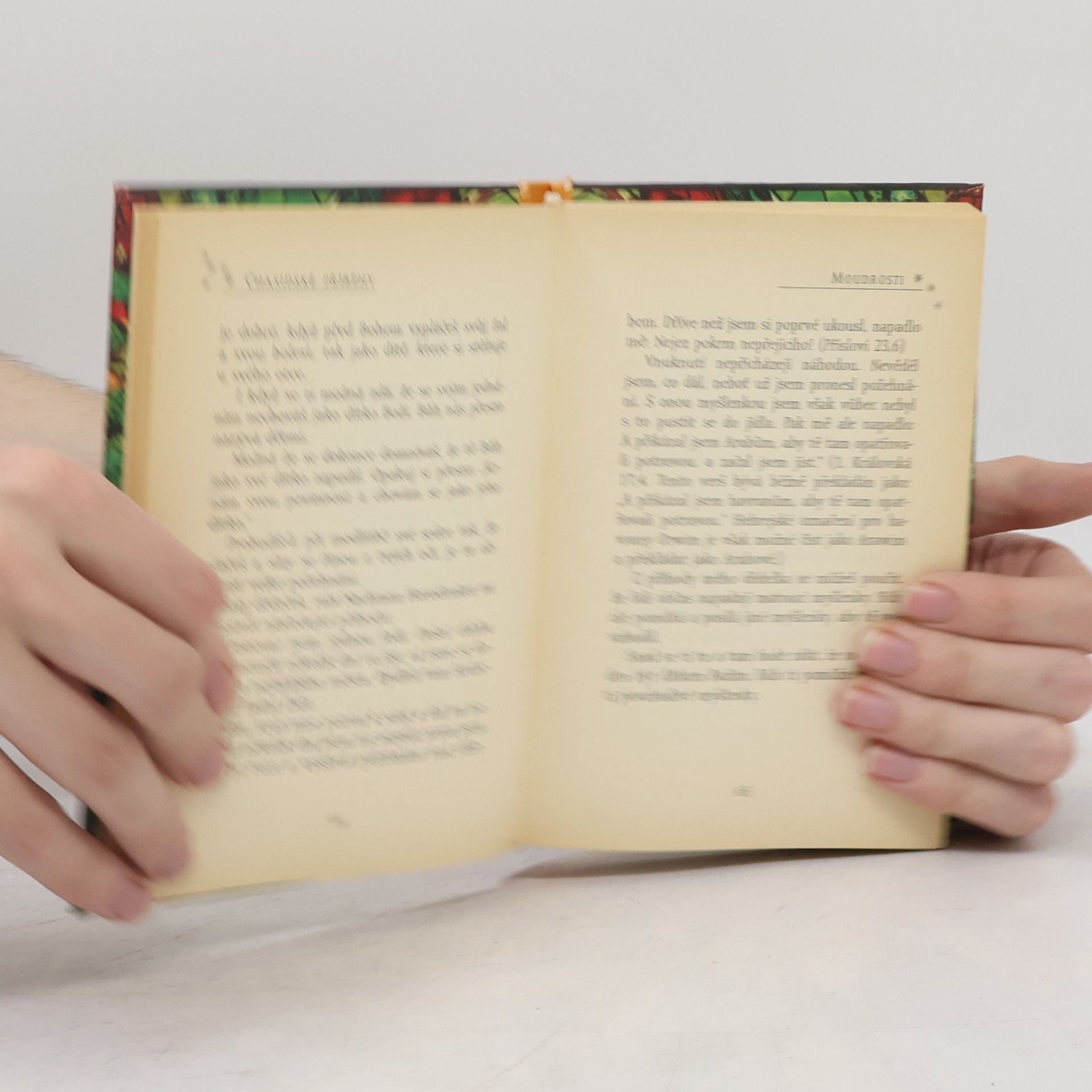 Rabbi Nachman Slova rabiho Nachmana: Chasidské příběhy