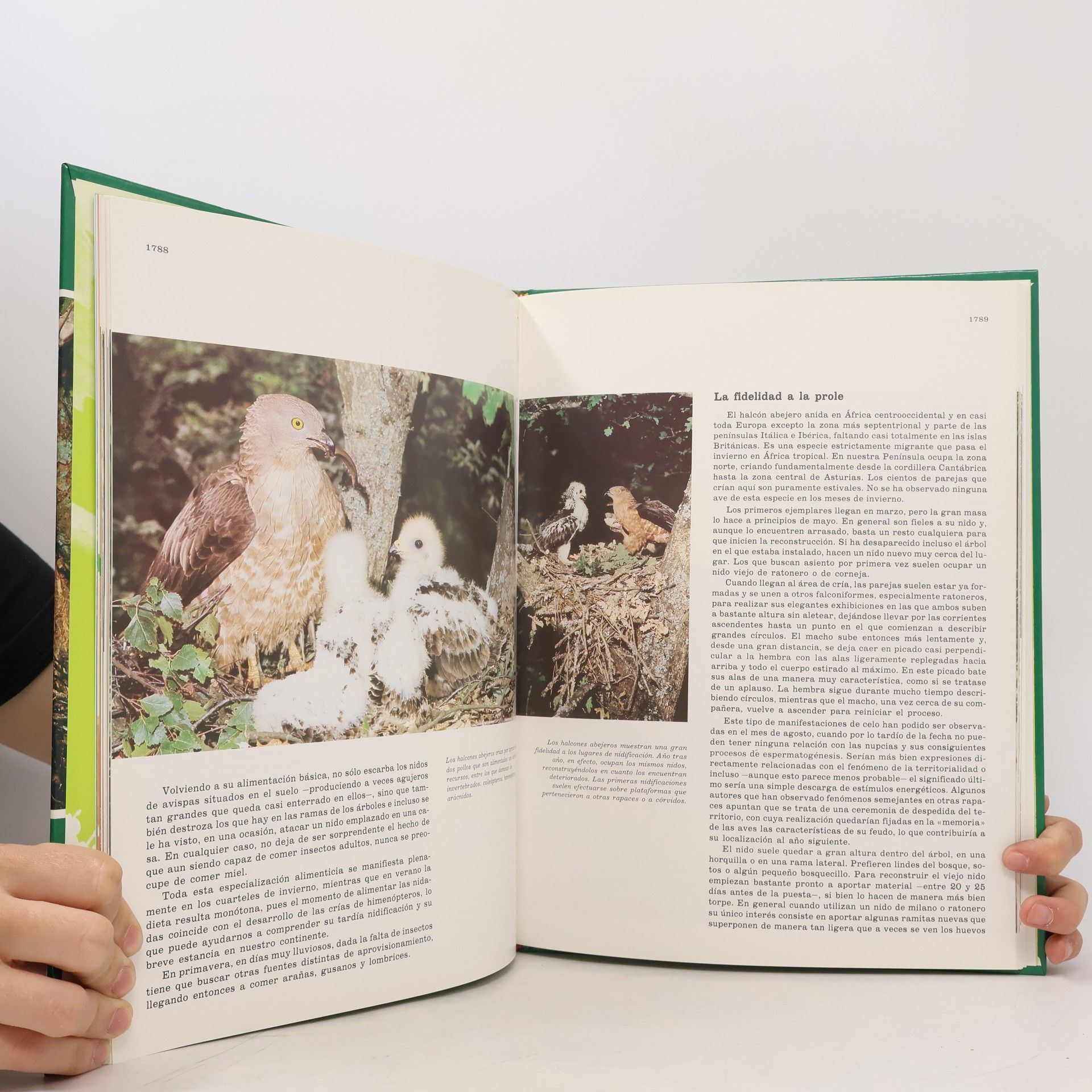 Félix Rodríguez de la Fuente Fauna Ibérica 23
