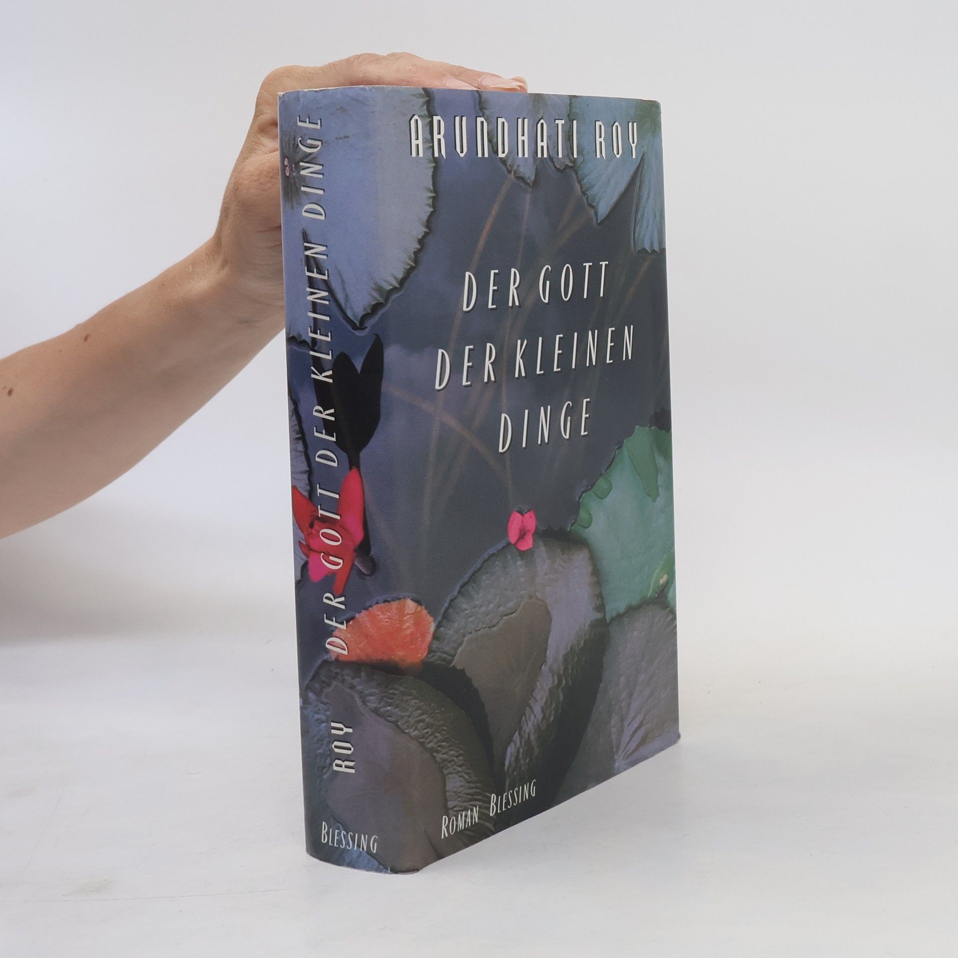 Arundhati Roy Der Gott der Kleinen Dinge