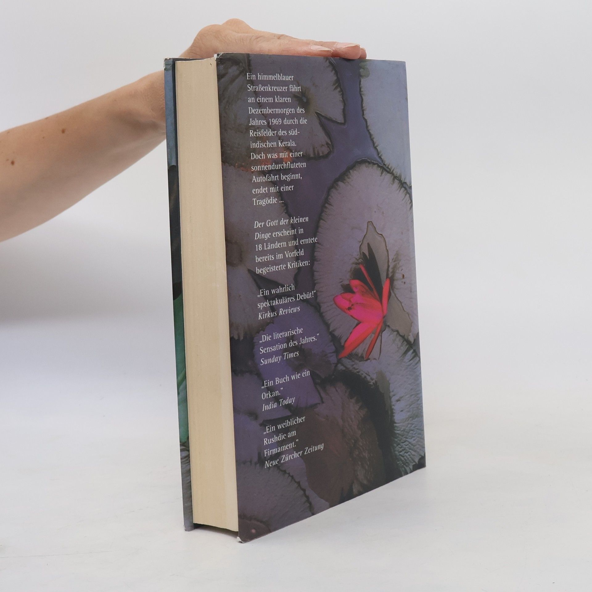 Arundhati Roy Der Gott der Kleinen Dinge