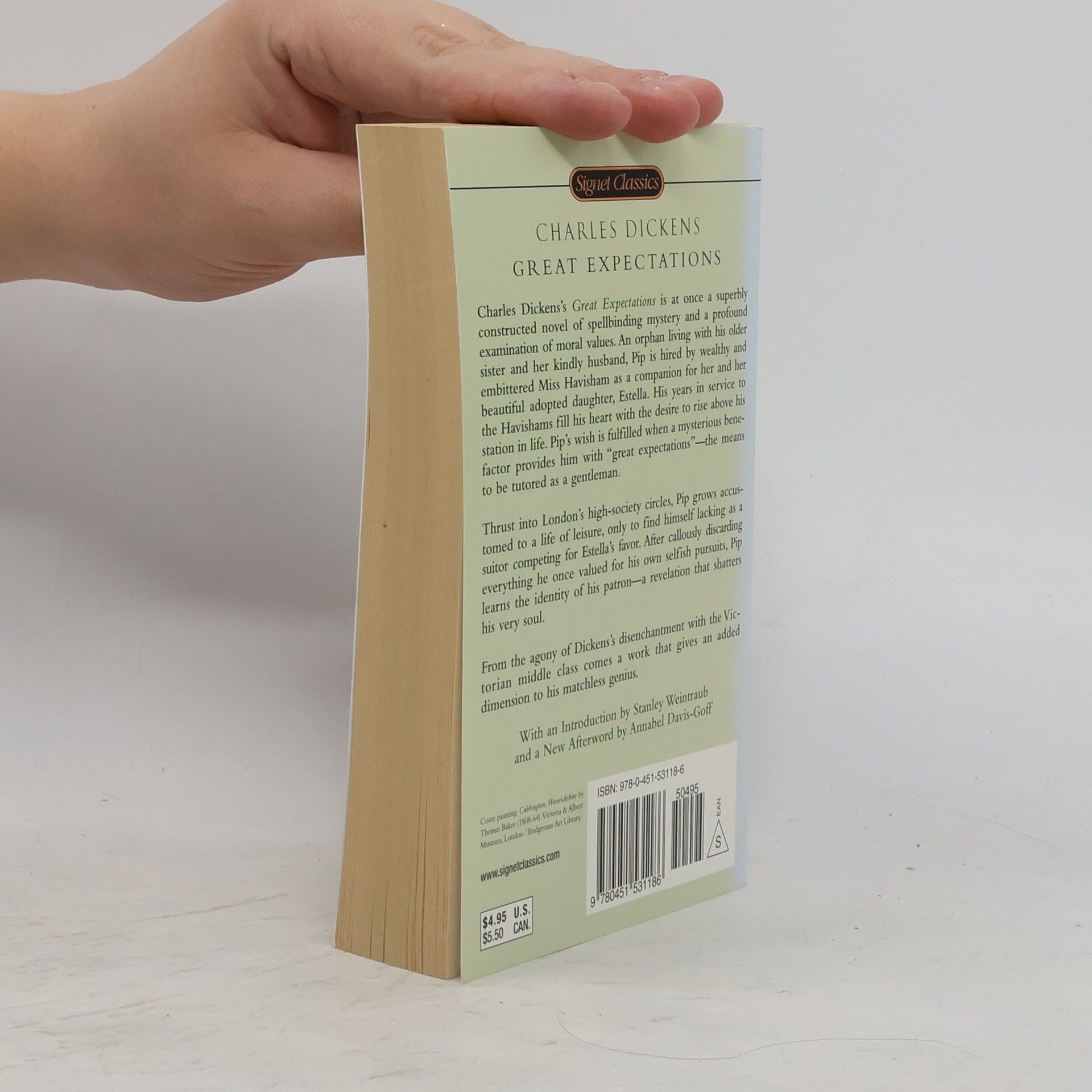 Charles Dickens Great Expectations