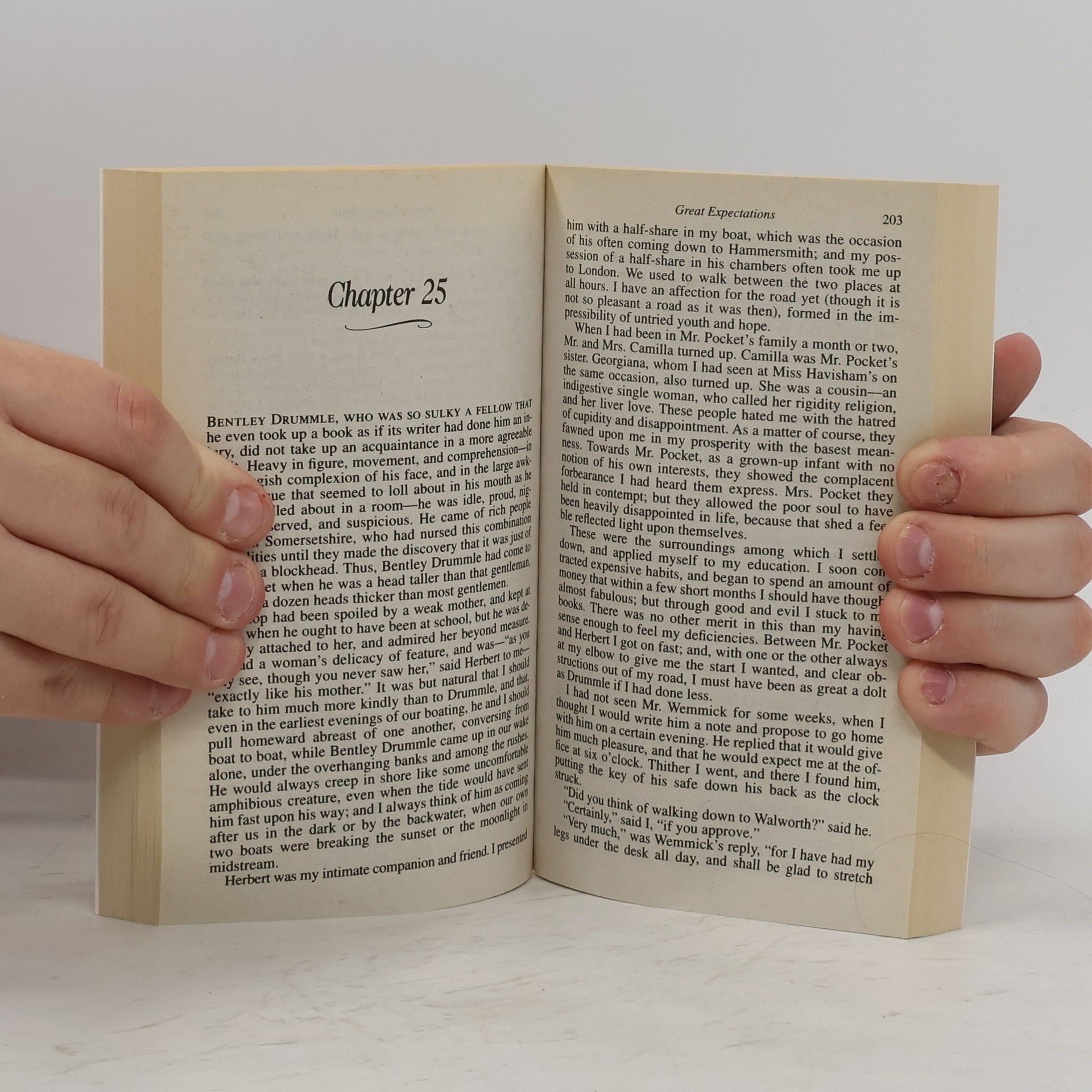 Charles Dickens Great Expectations