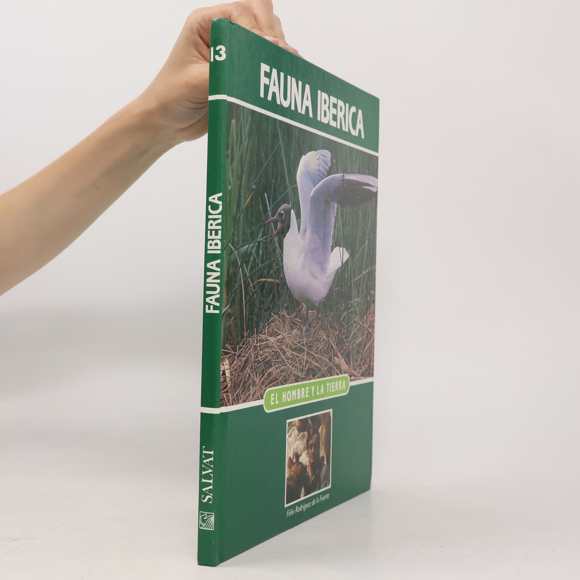 Fauna Ibérica 13