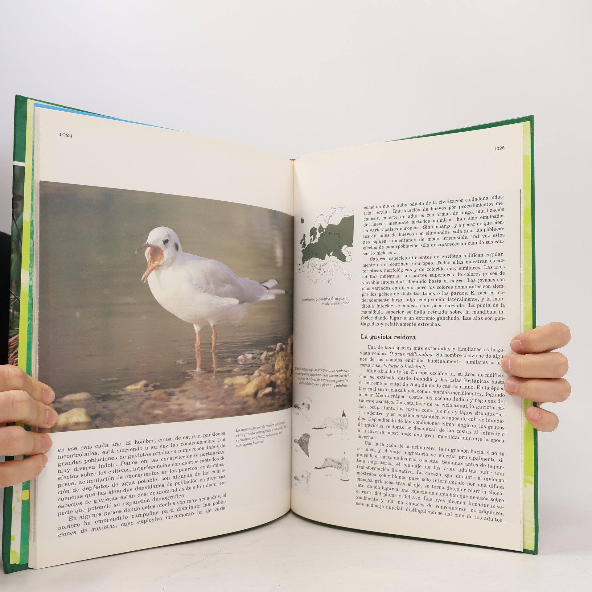 Félix Rodríguez de la Fuente Fauna Ibérica 13