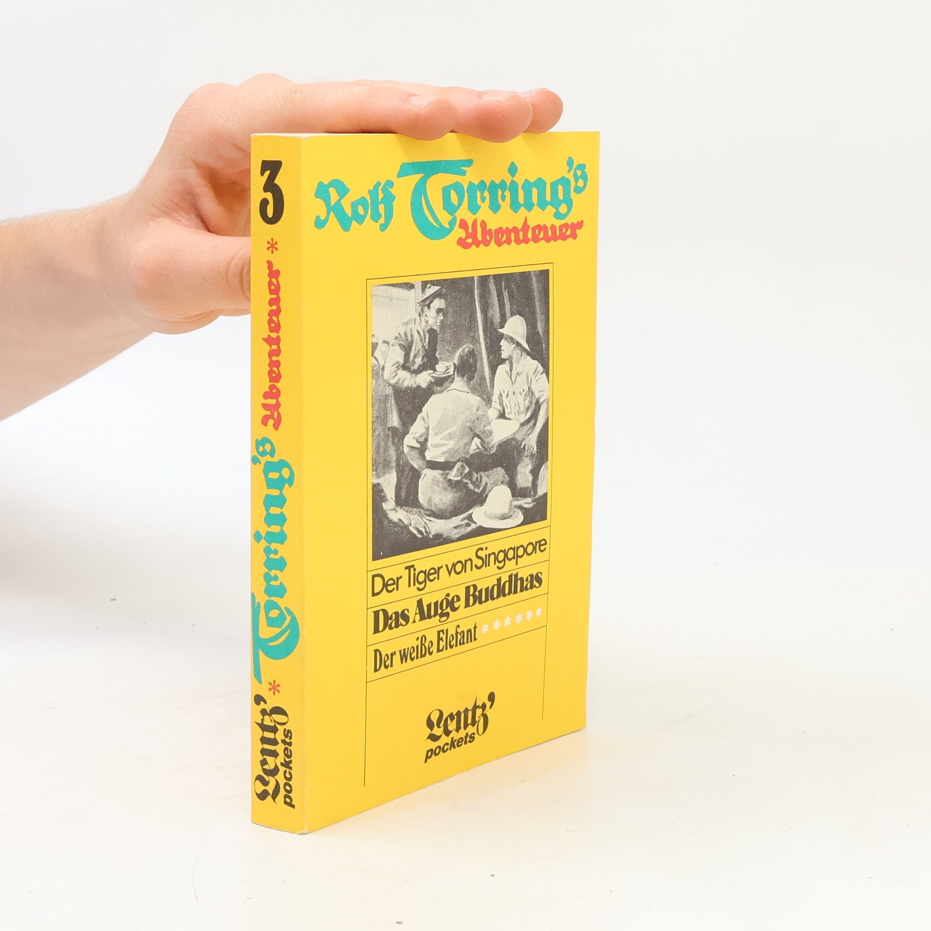 Autorenkollektiv Rolf Torring's Abenteuer 3