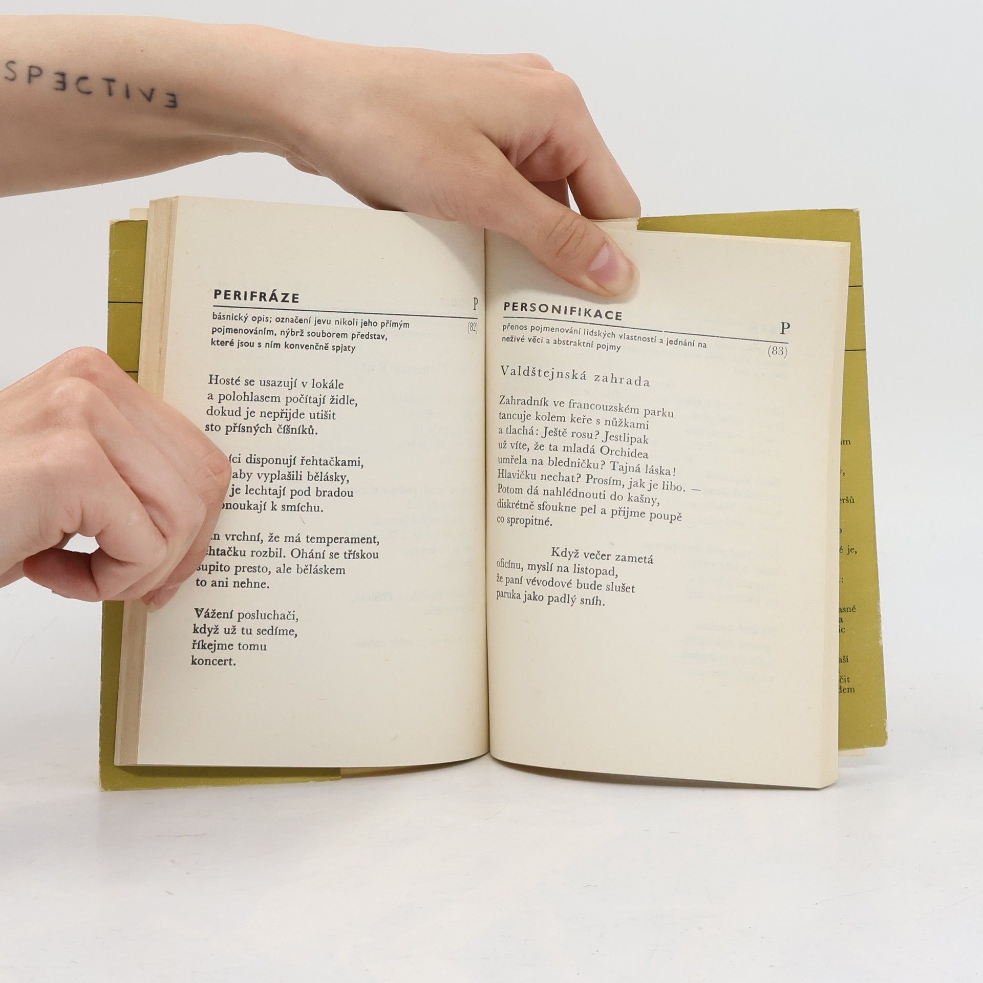 Přemysl Rut Menší poetický slovník v příkladech