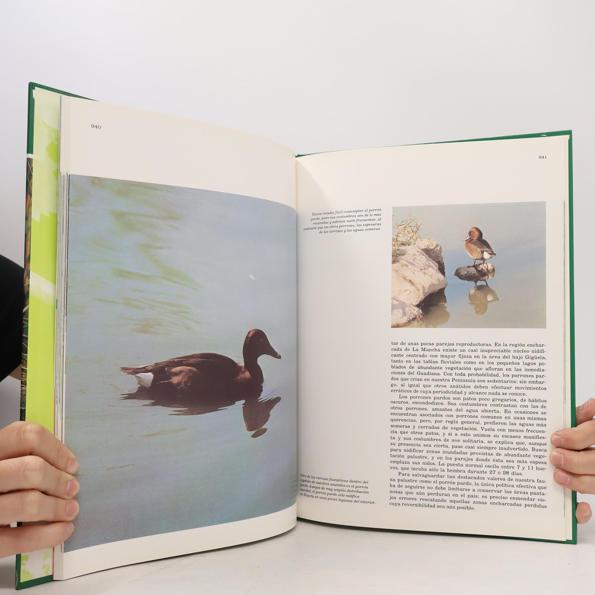 Félix Rodríguez de la Fuente Fauna Ibérica 2
