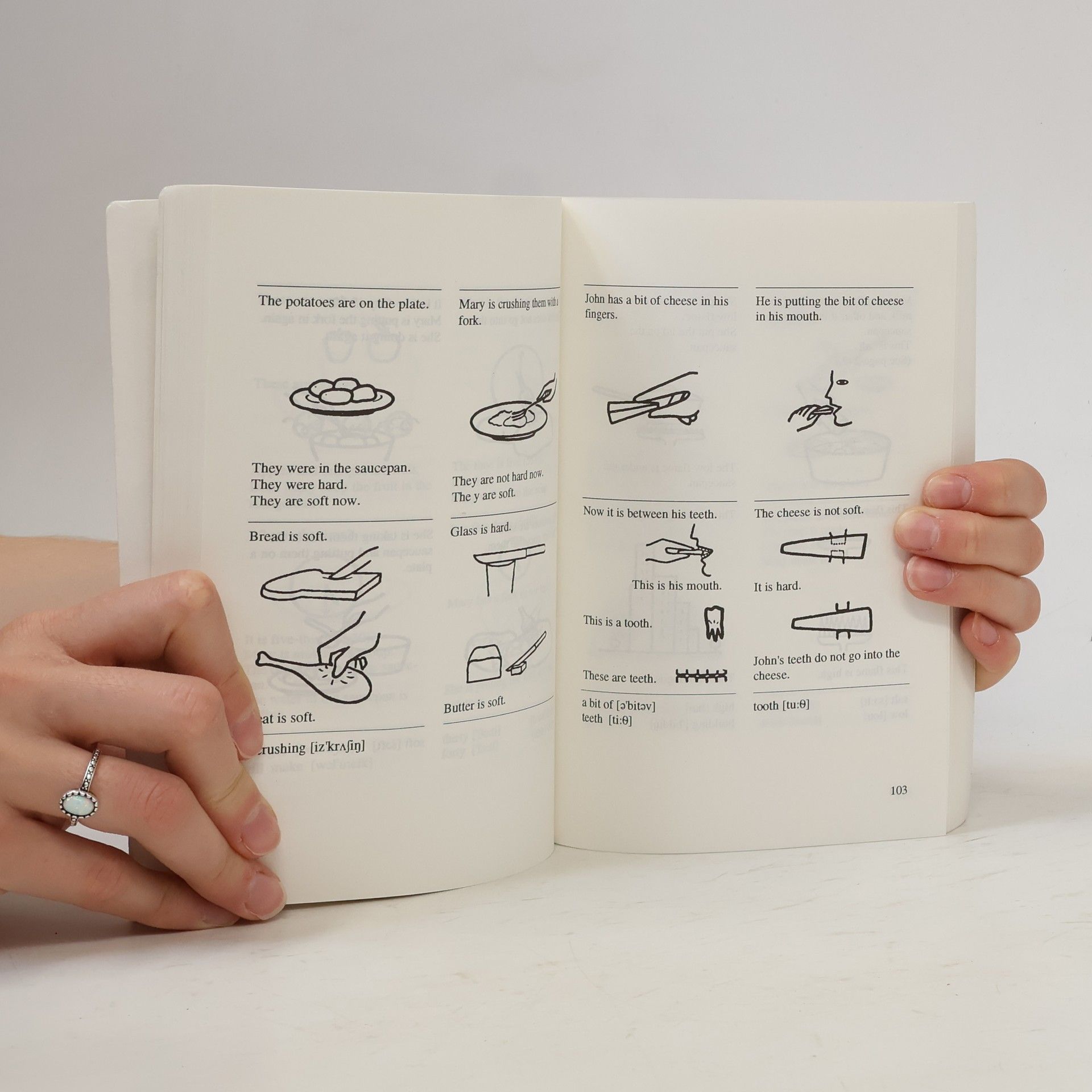 Christine M. Gibson English through Pictures