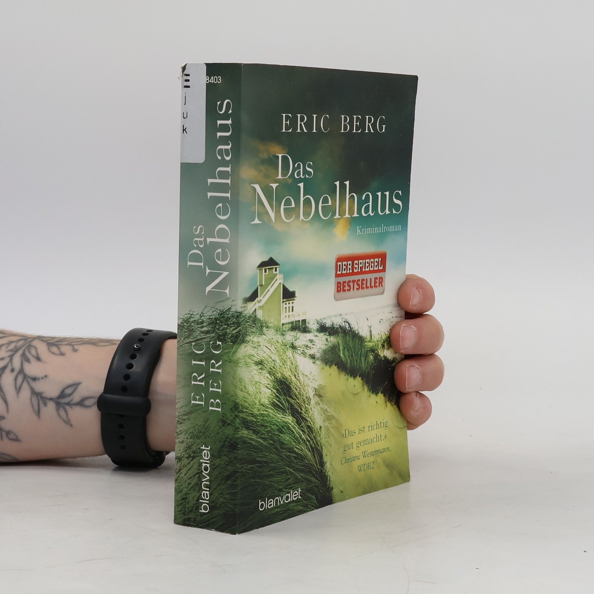 Eric Berg Das Nebelhaus