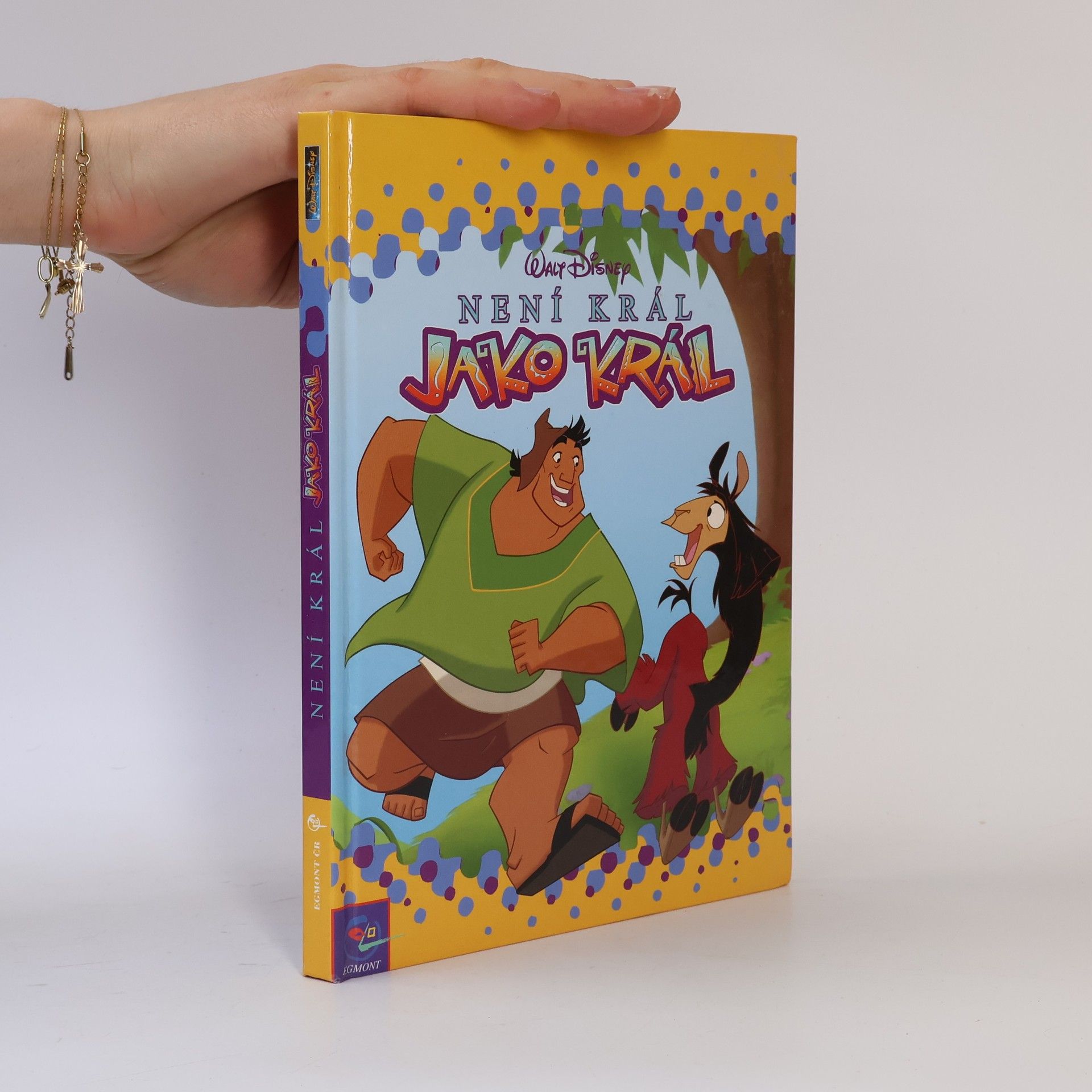 Kolektiv autorů Není král jako král