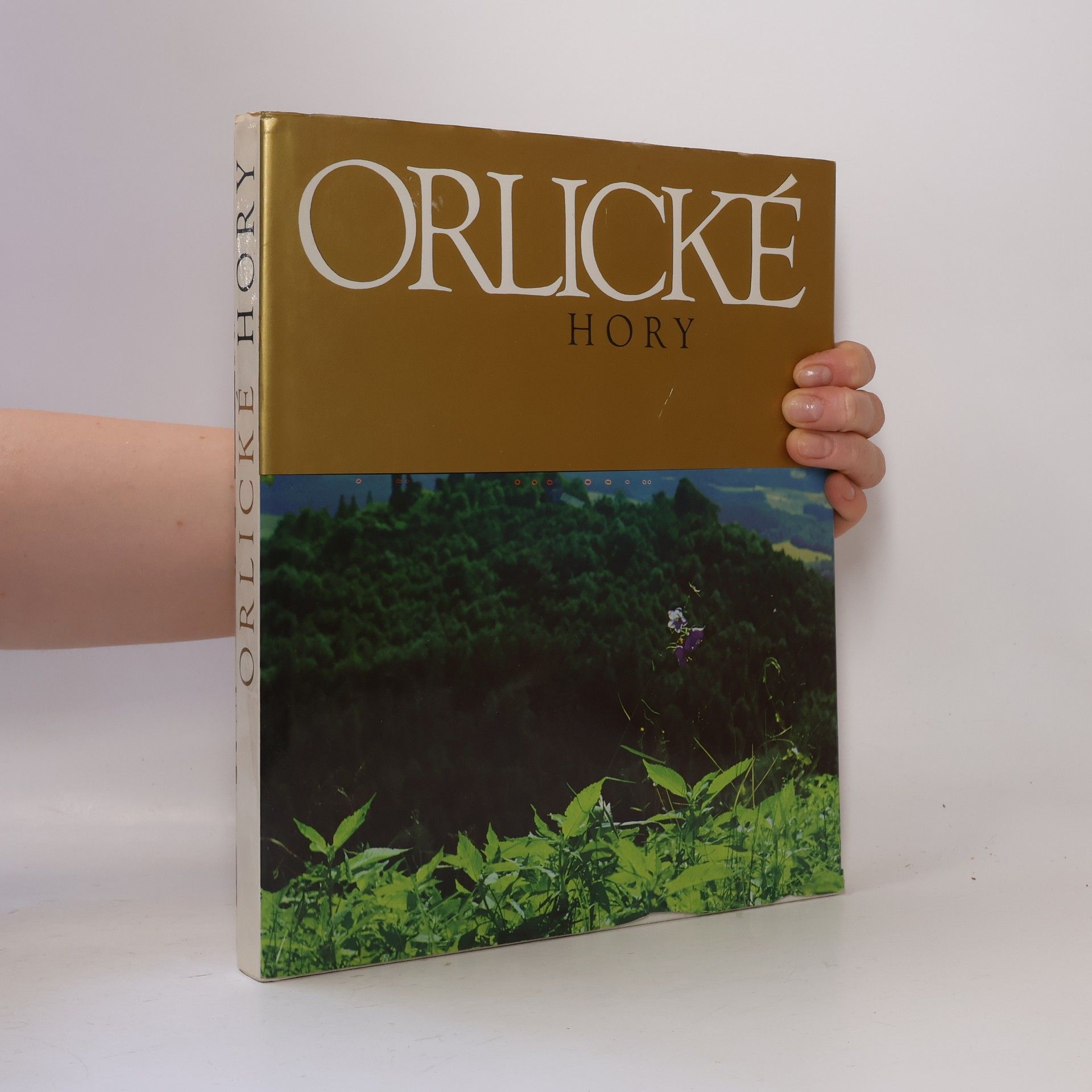 Karel Michl Orlické hory