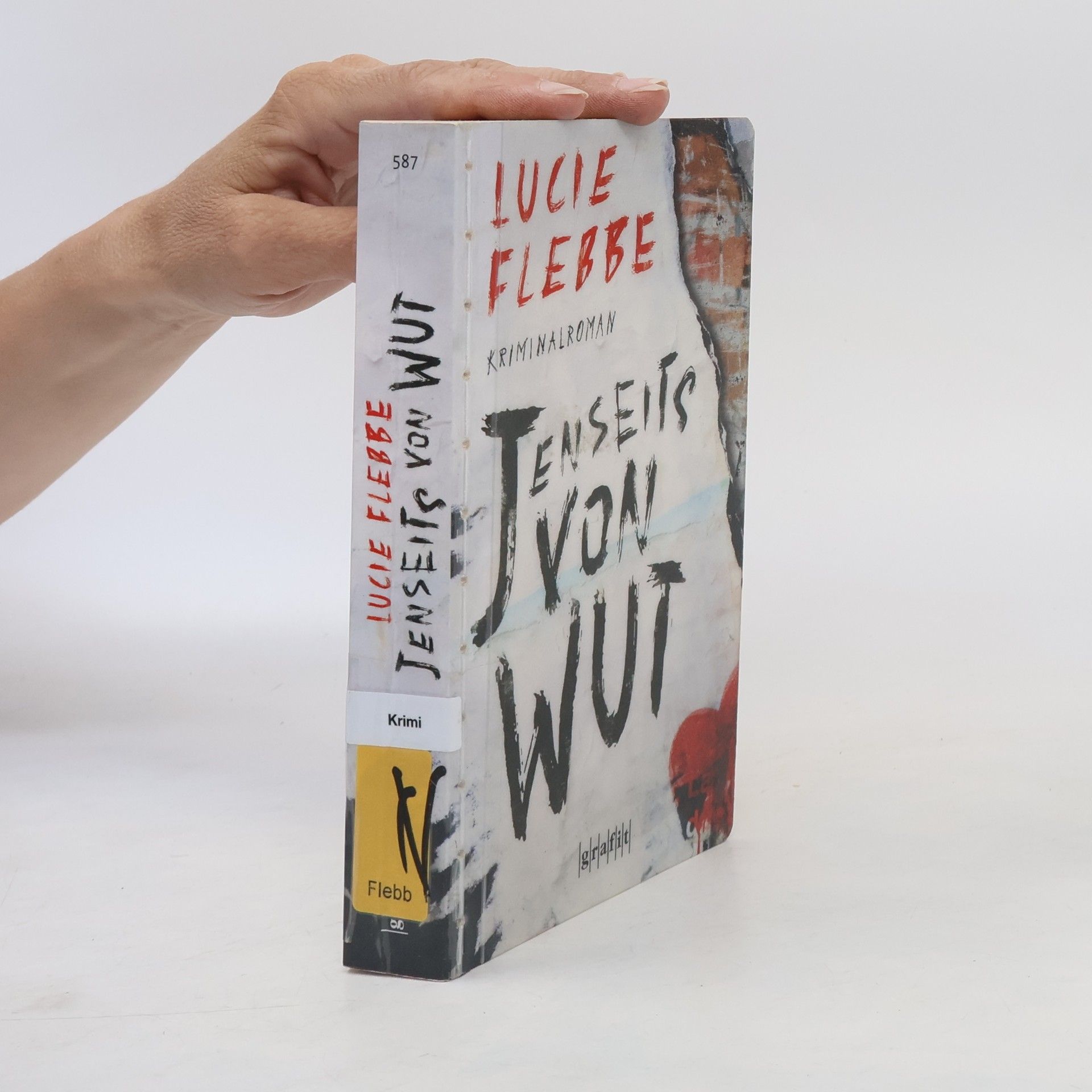Lucie Flebbe Jenseits von Wut