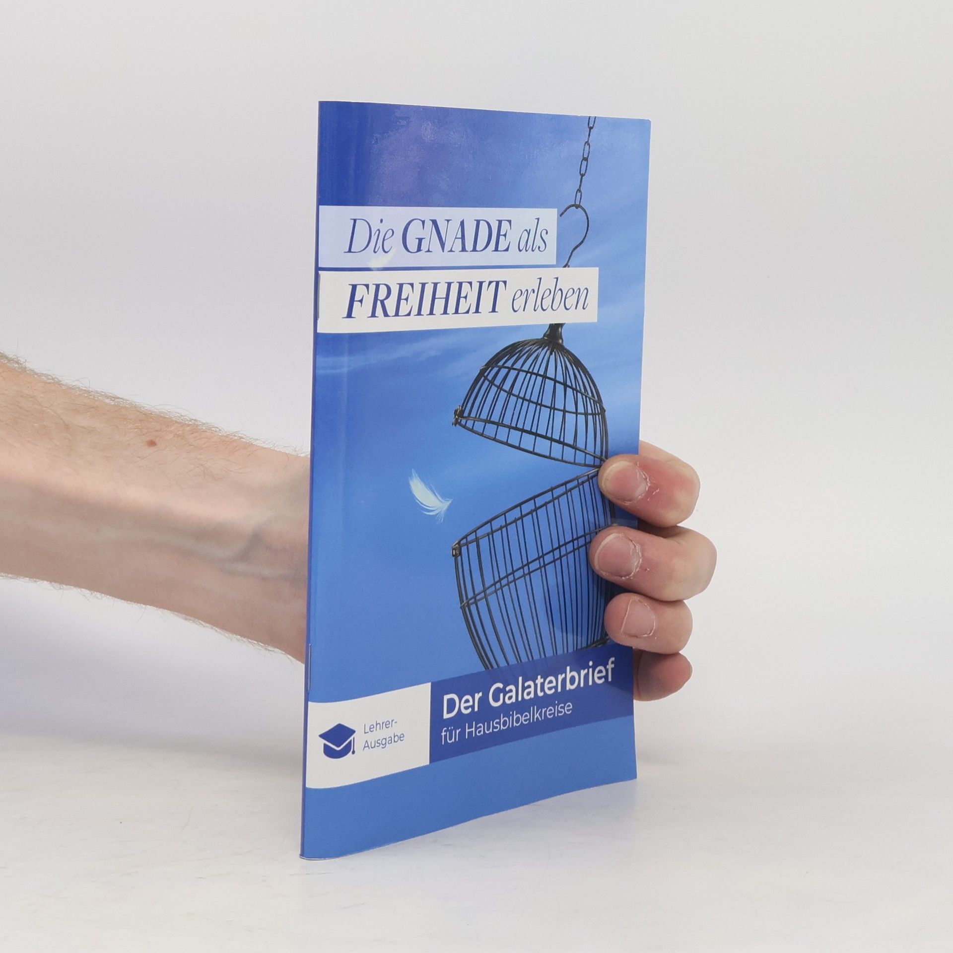 Thomas Powilleit Die Gnade als Freiheit erleben
