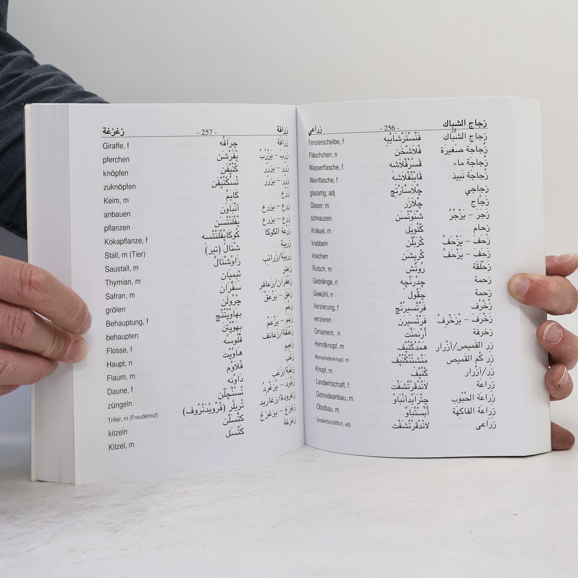 Mohamed Abdel Aziz Diwan Wörterbuch für Araber für deutschlernende Araber