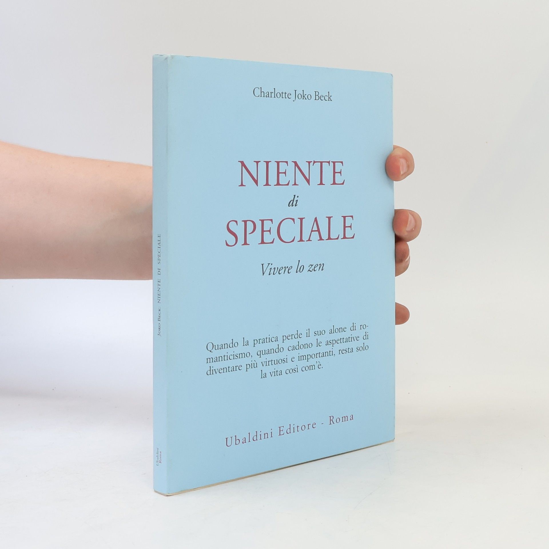Charlotte Joko Beck Niente di speciale. Vivere lo zen