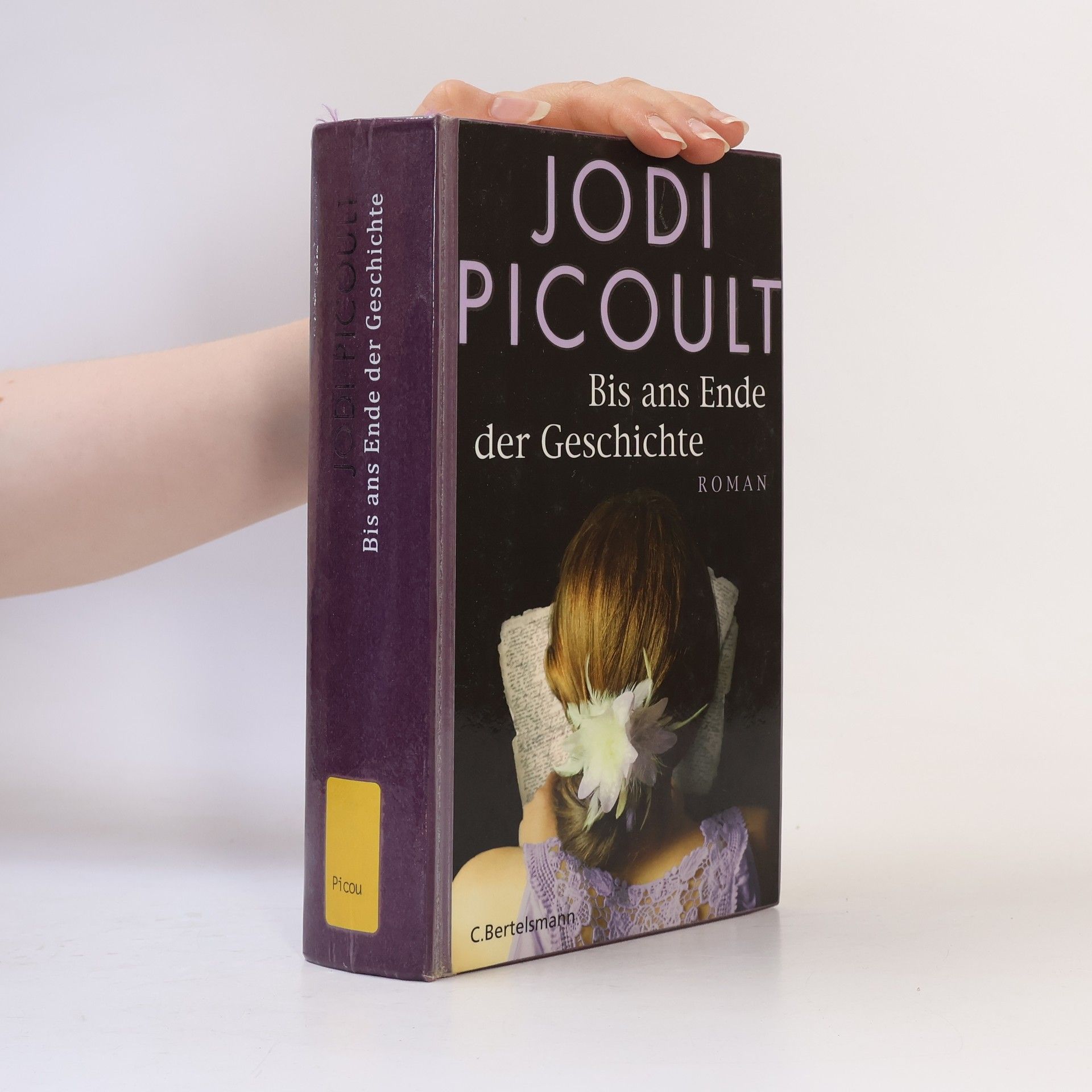 Jodi Picoult Bis ans Ende der Geschichte