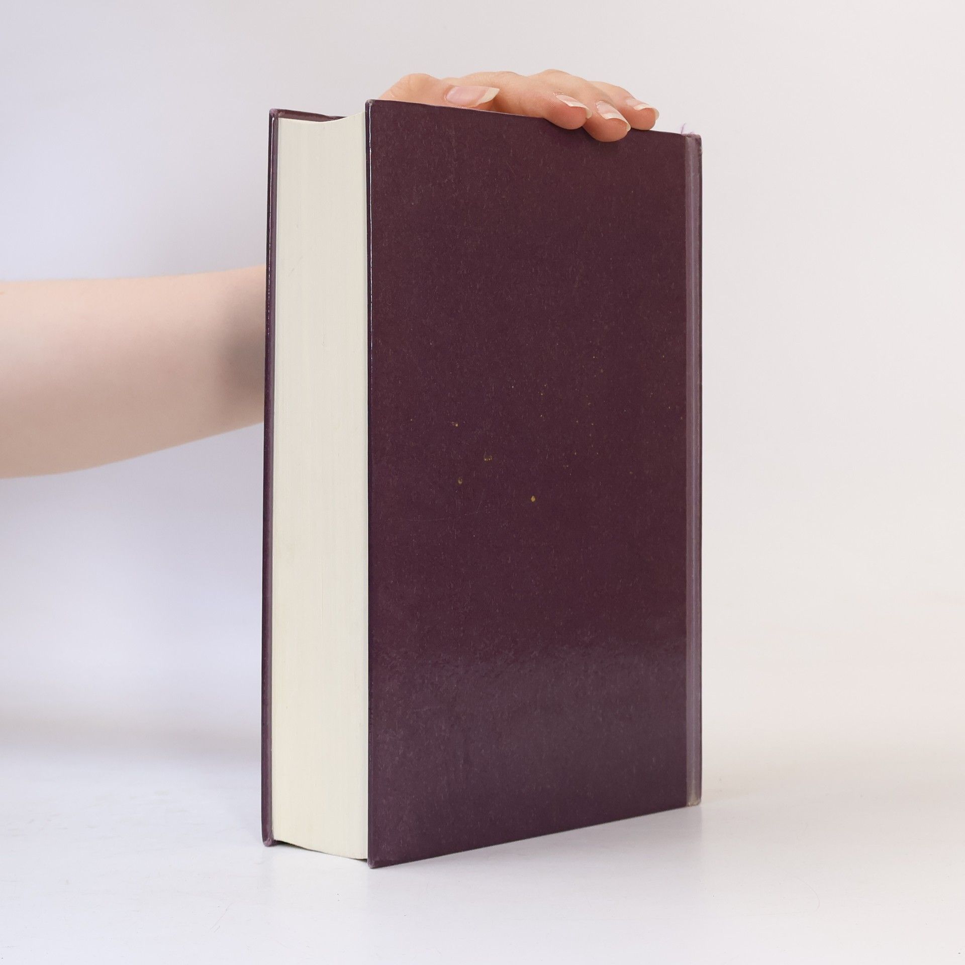 Jodi Picoult Bis ans Ende der Geschichte